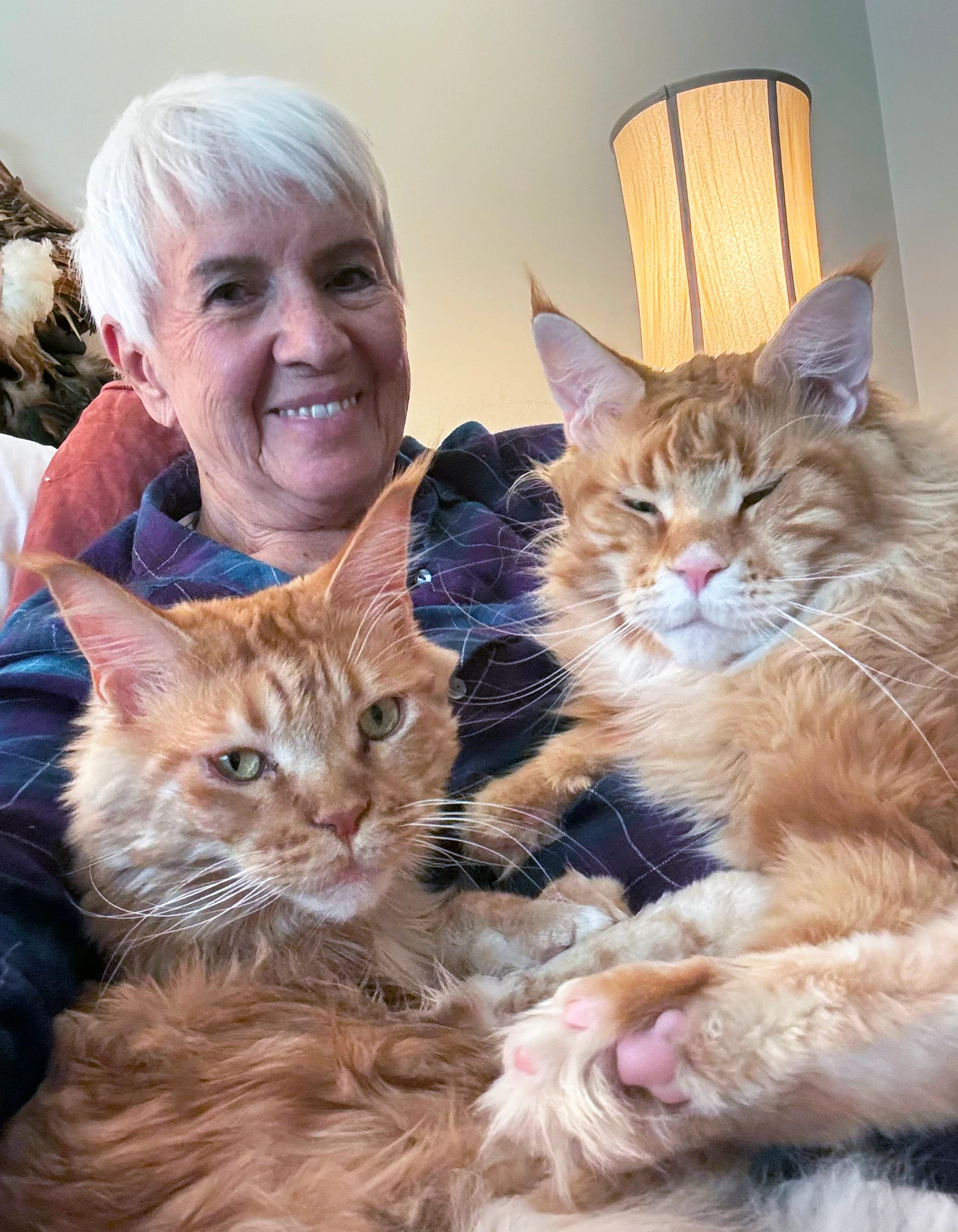 a photo shows Sharon Furze with her cats Sundance and Louis