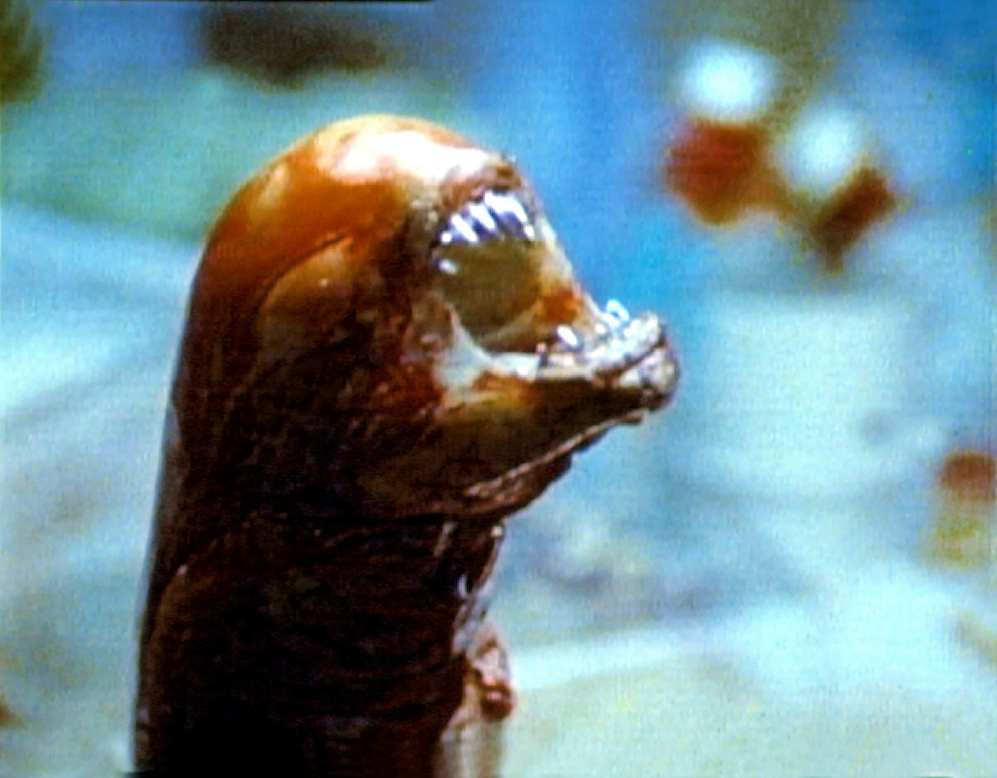the chest burster creature in a scene from alien