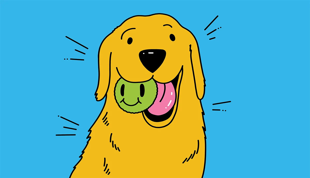 A large happy dog with its tongue out and a smiley face tennis ball in its mouth