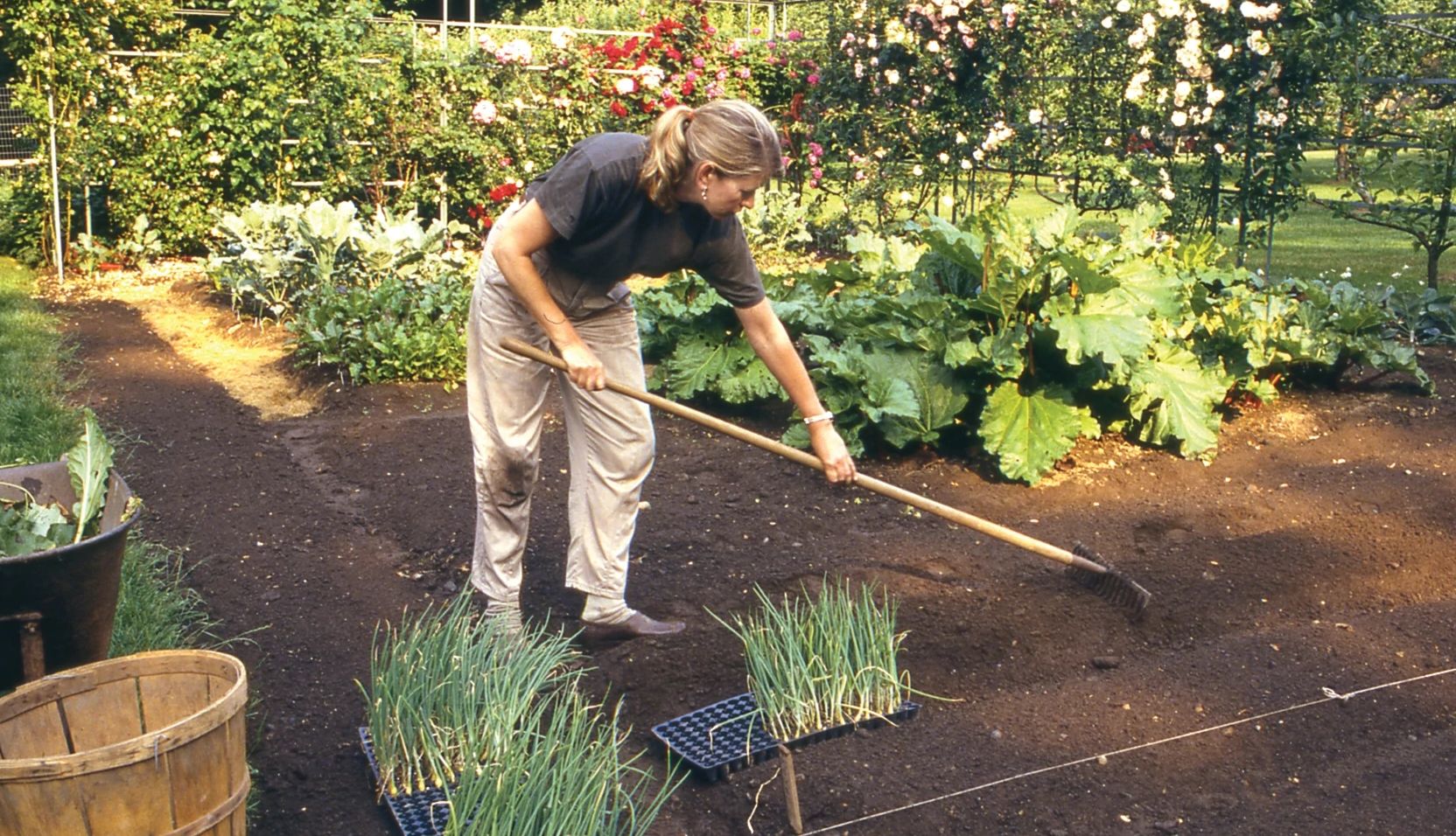 Martha working in a garden Martha working in a garden