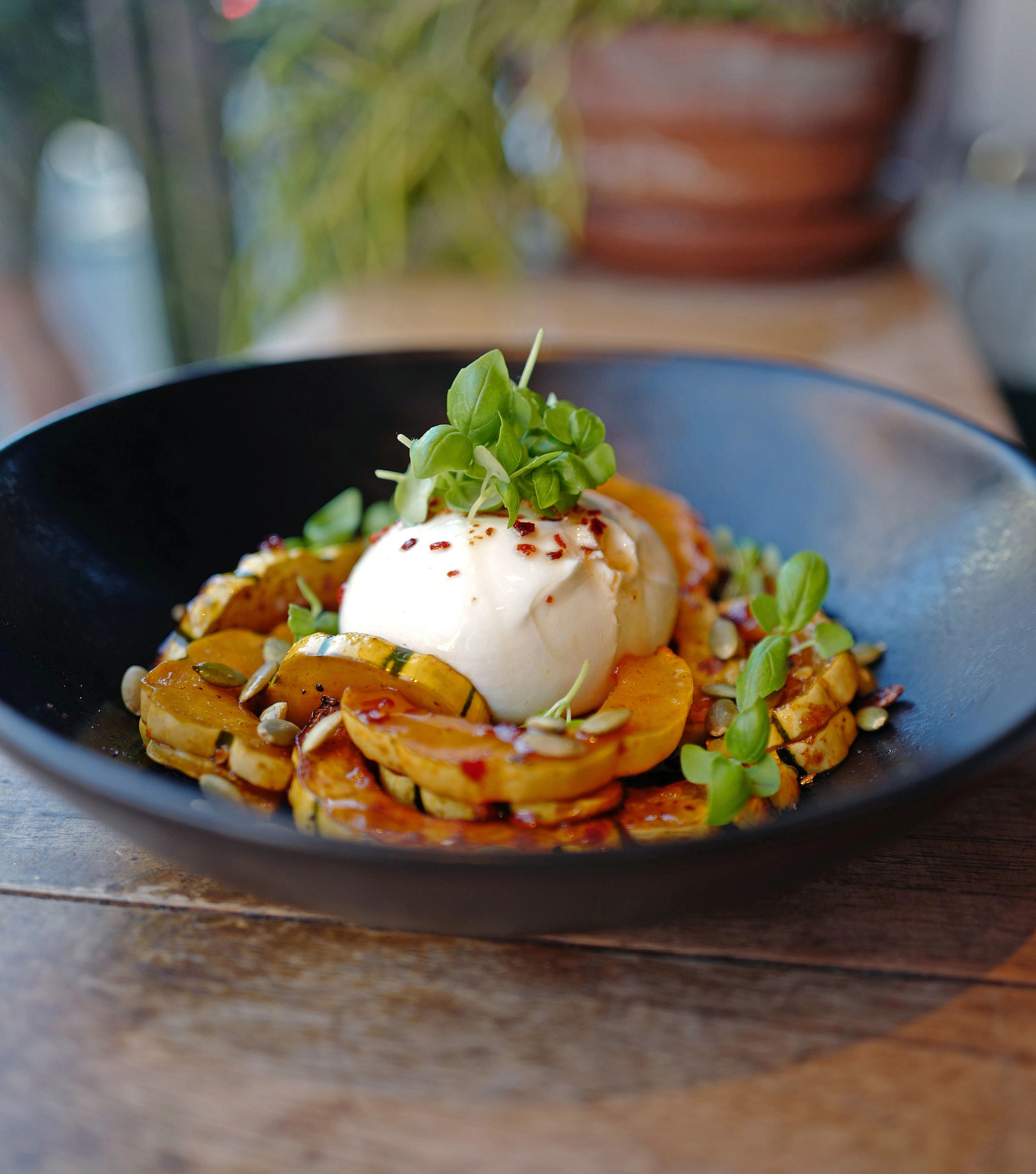 Delicata Squash and Burrata