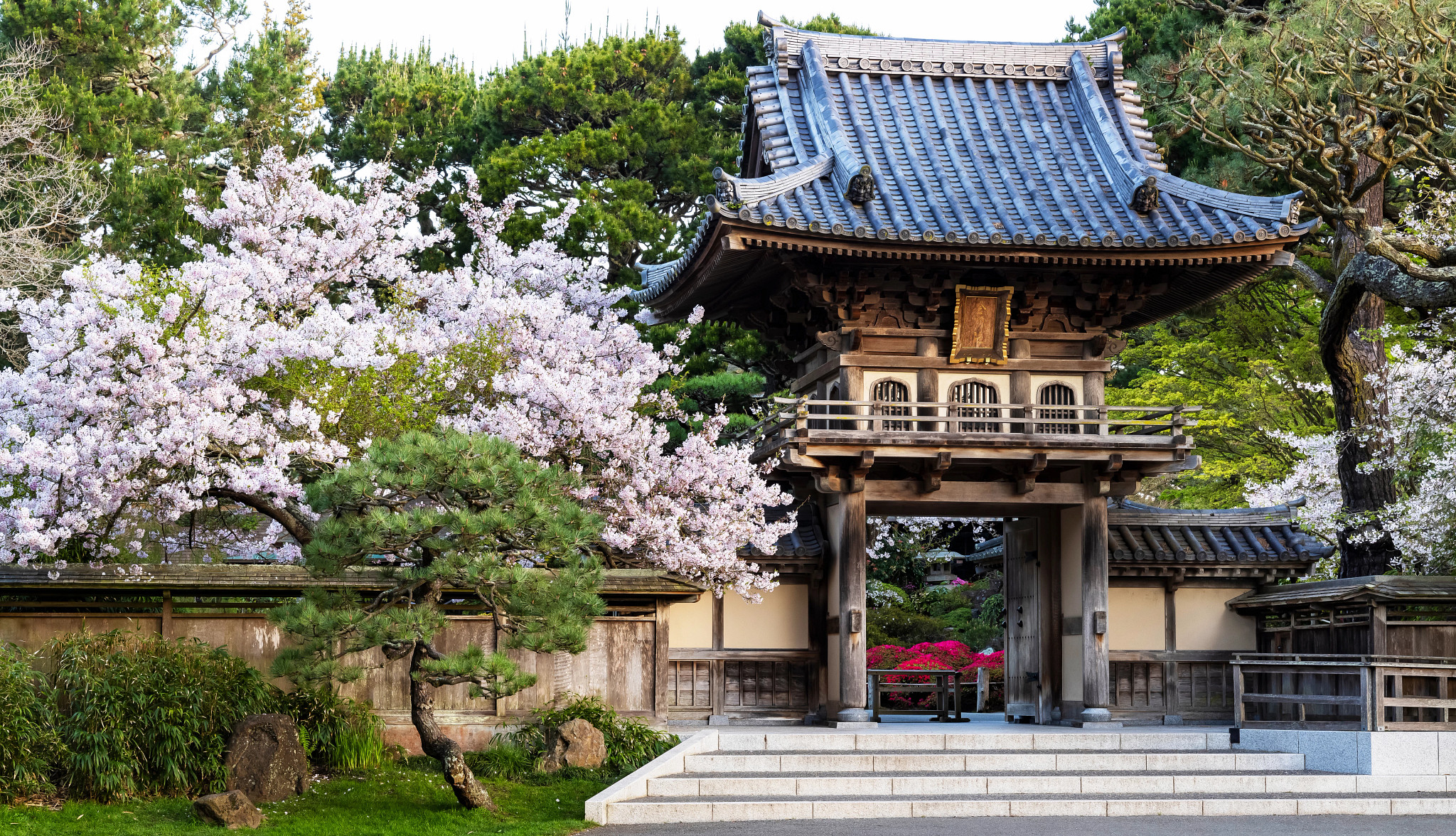 the entrance to a japanese garden surronded by trees