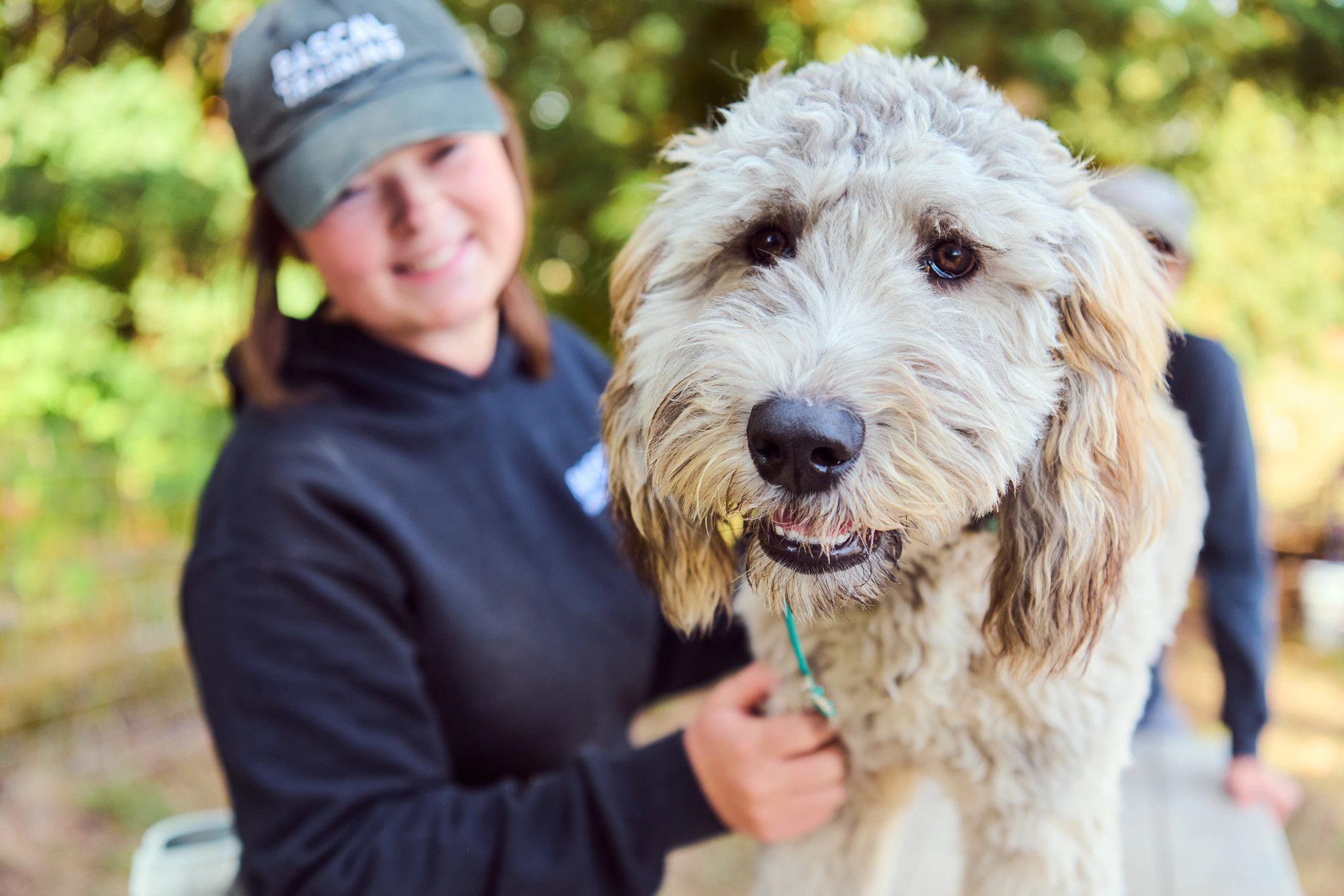 closeup of a dog with its trainer