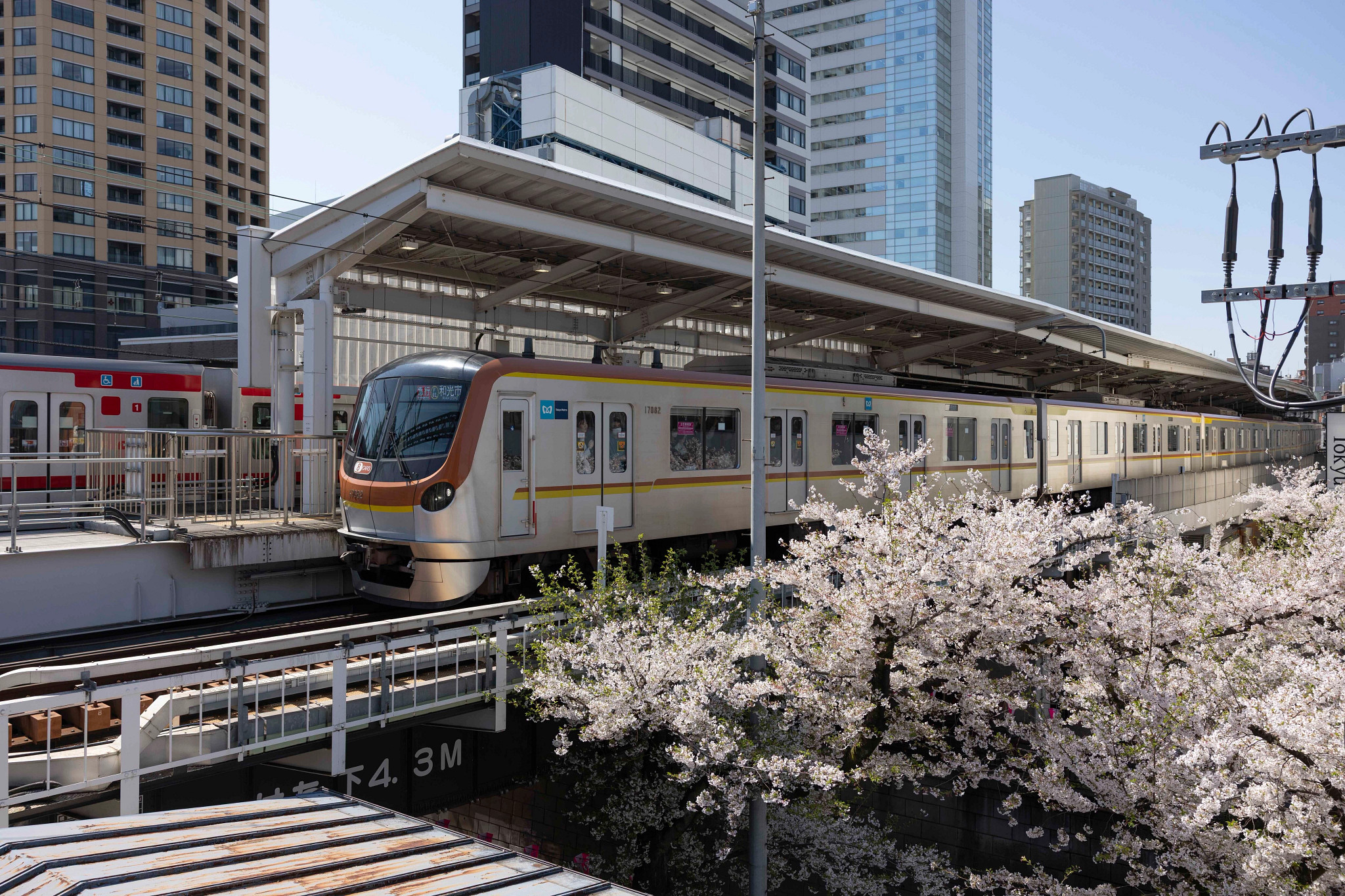 a train in tokyo