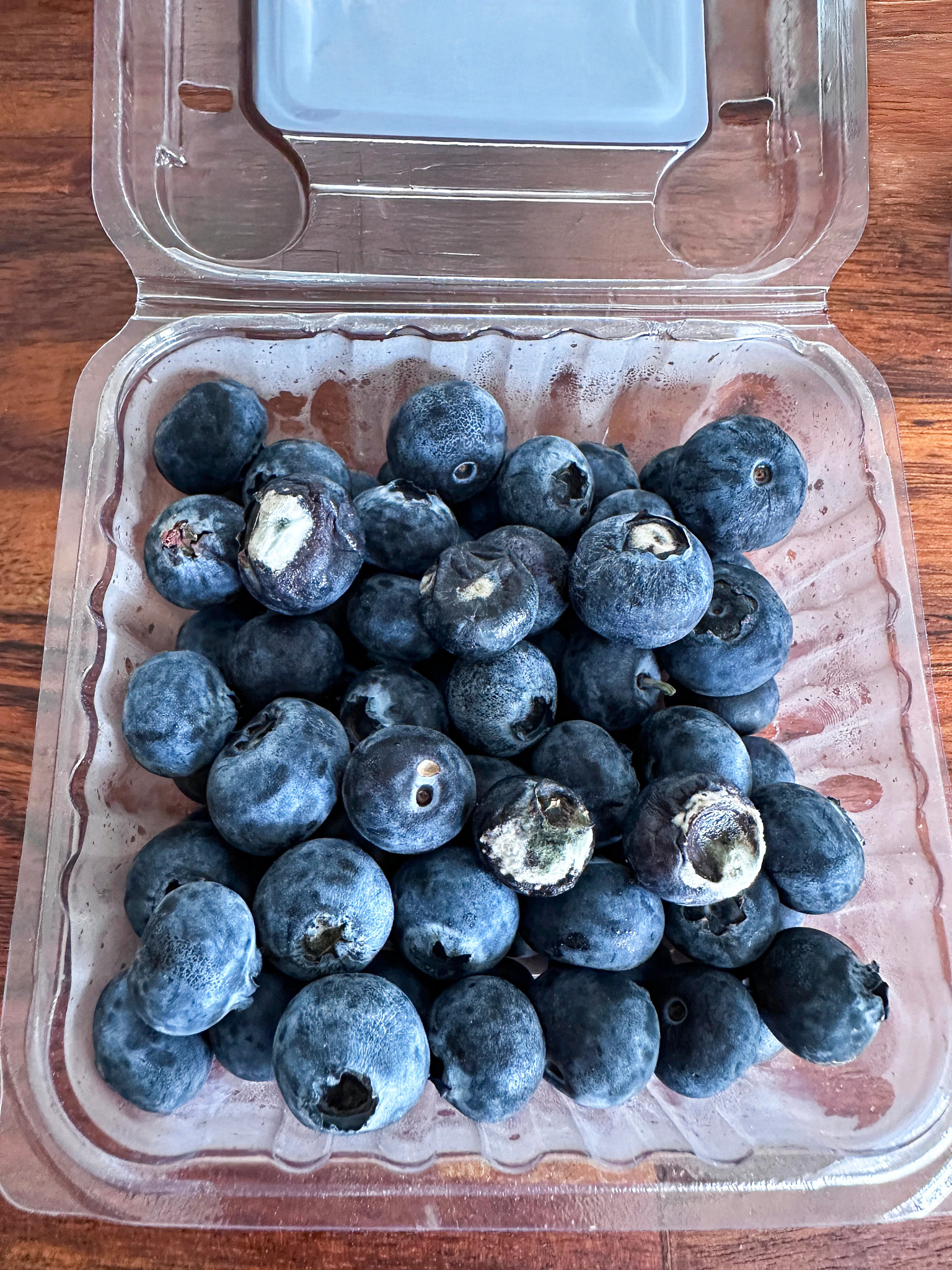 photo shows a punnet of blueberries affected by mold,