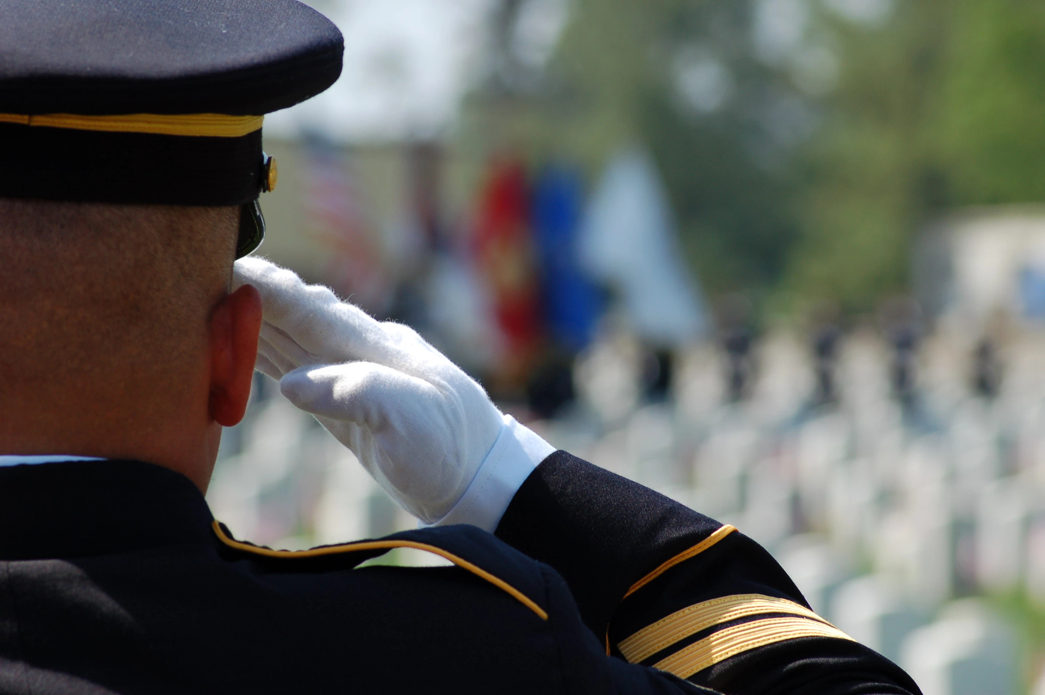 Image of Veterans Forum: Learn About the Tuskegee Airmen