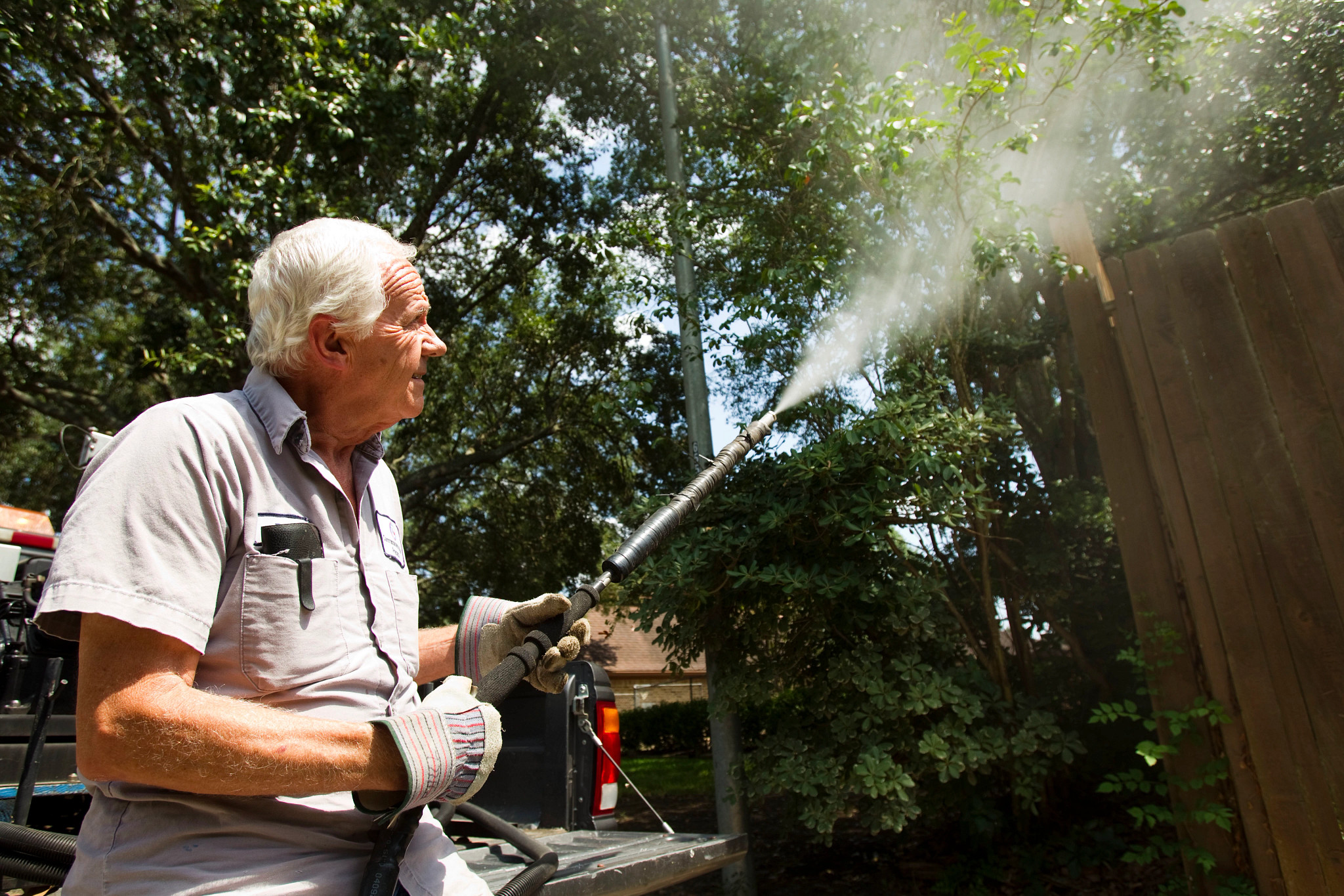 a photo shows an older adult man spraying insecticide in a garden