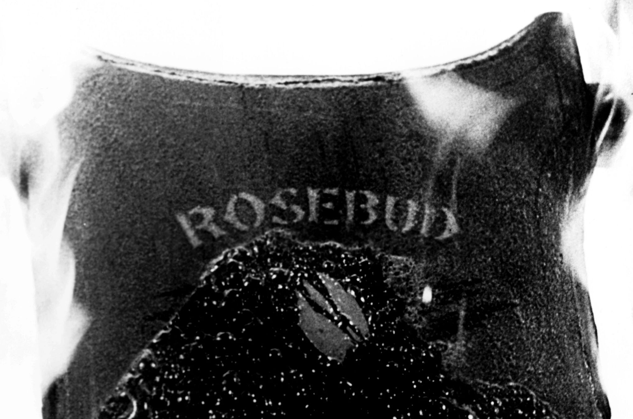 Auction Features Famous Movie Props the sled 'rosebud' from the film 'citizen kane'