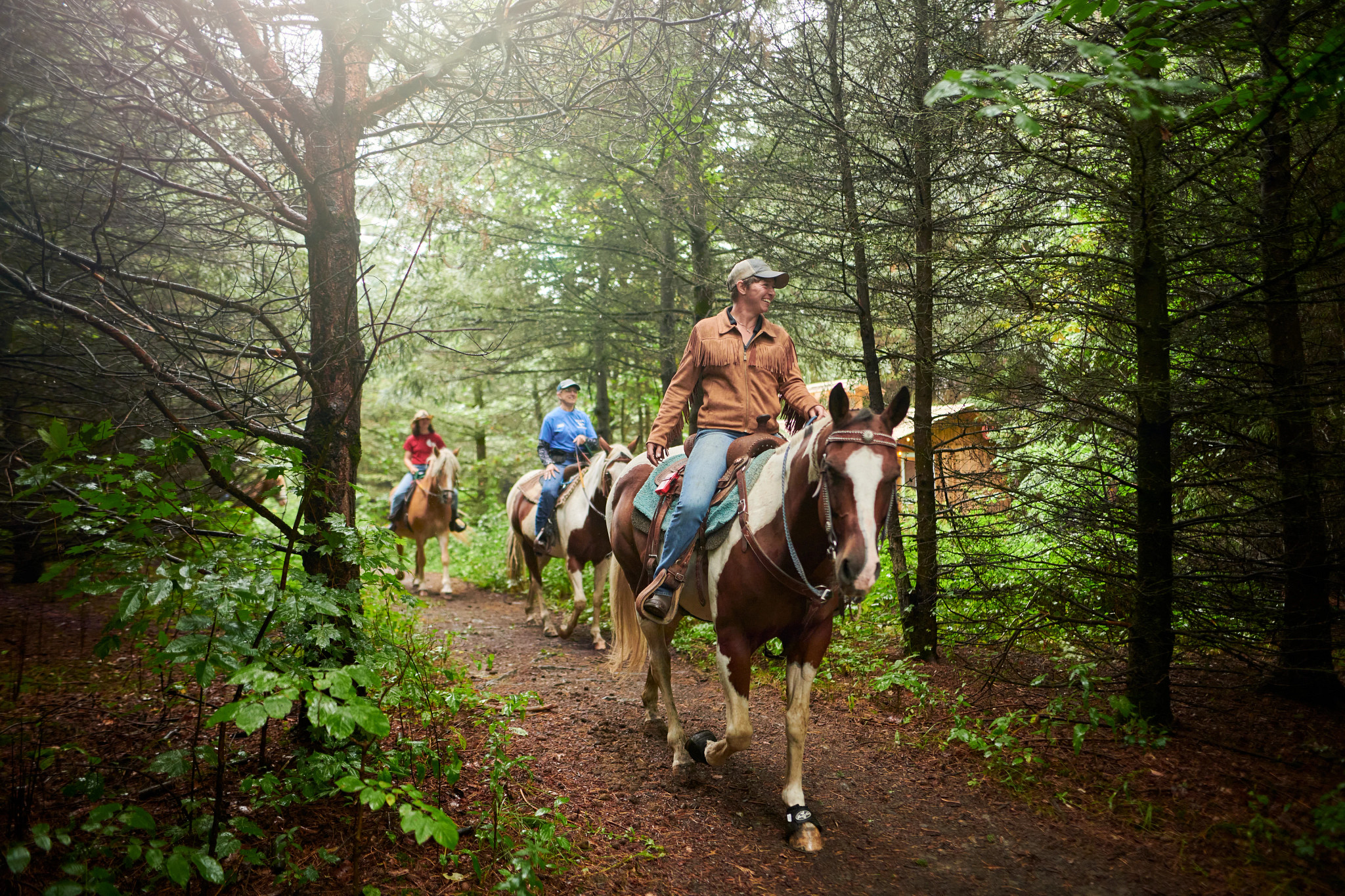 people riding horses in the woods