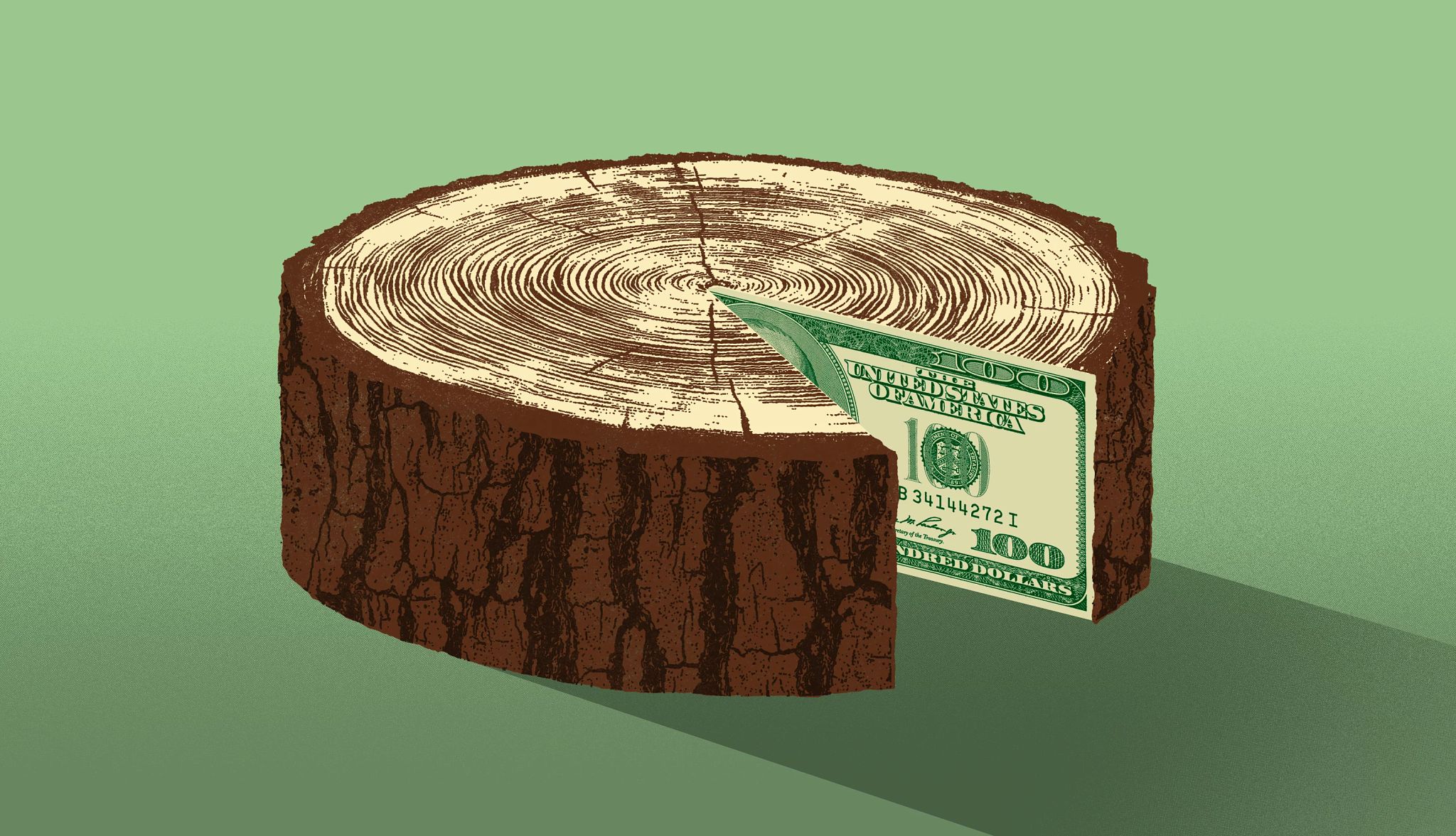 Calculate Capital Gains Taxes a tree stump with dollar bills inside of it