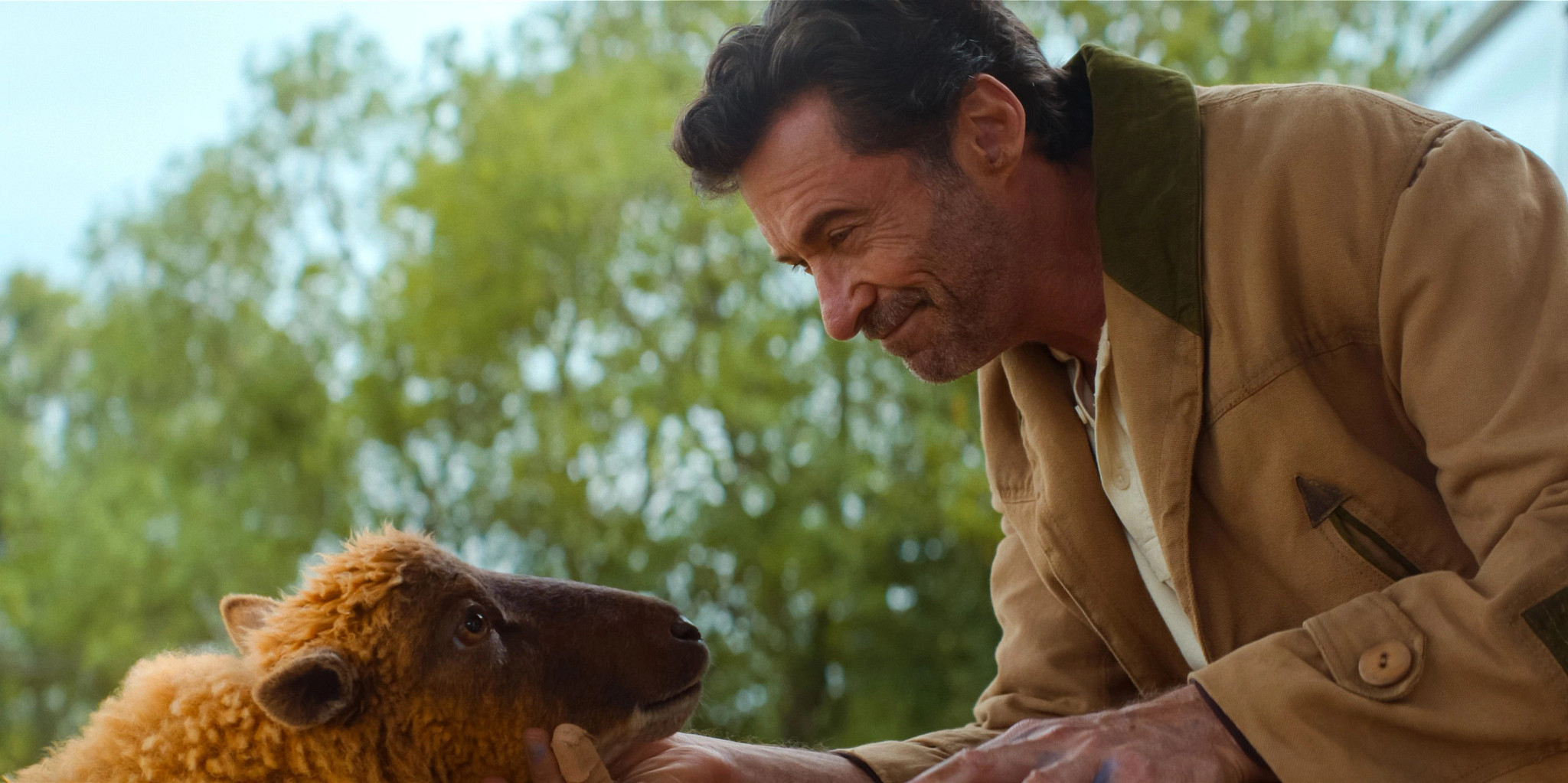 hugh jackman interacting with a sheep in a scene from the sheep detectives