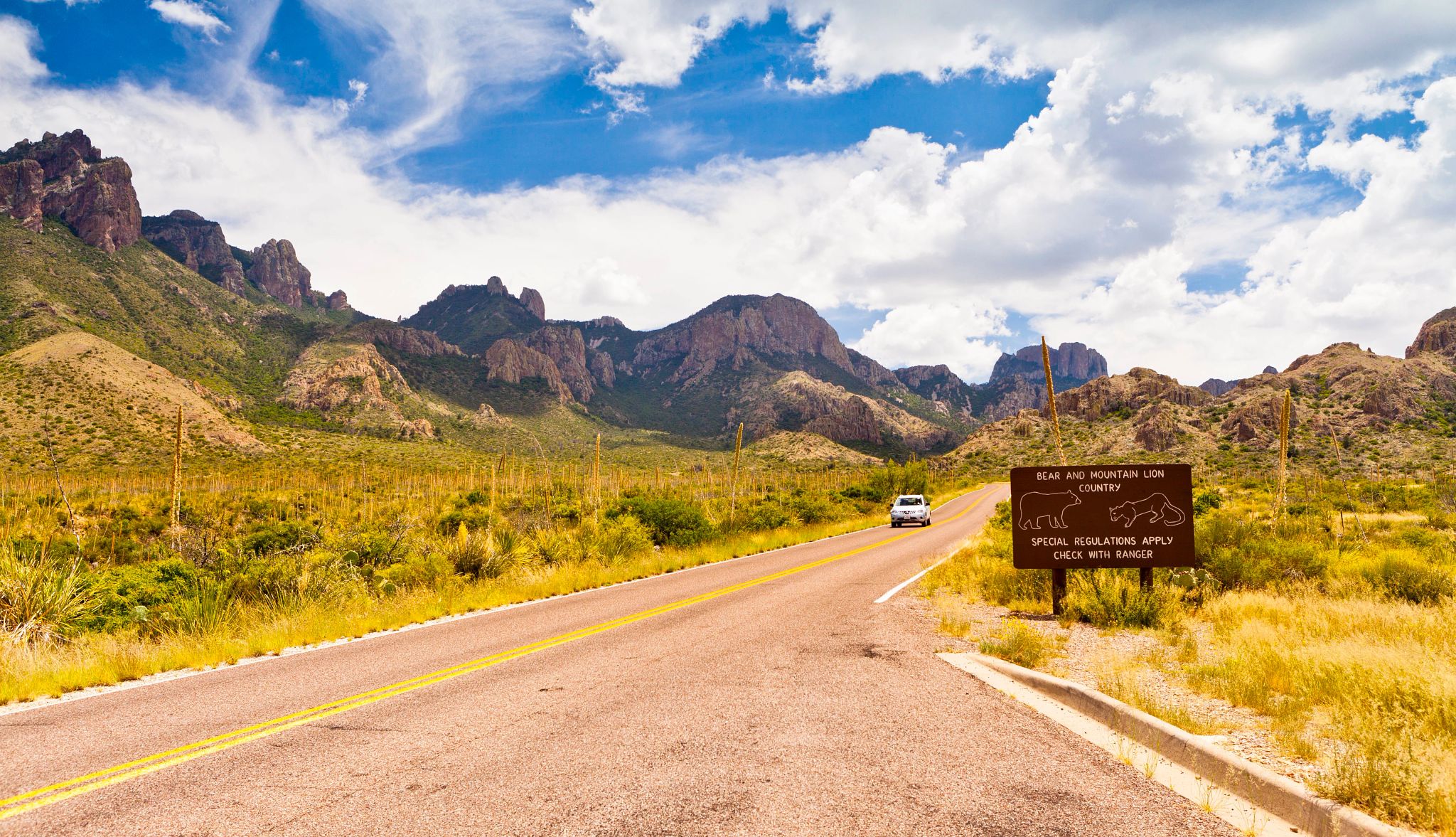 Big Bend National Park in Texas Road with white car on it, surrounded by mountains; sign that says bear and mountain lion country, special regulations apply, check with ranger