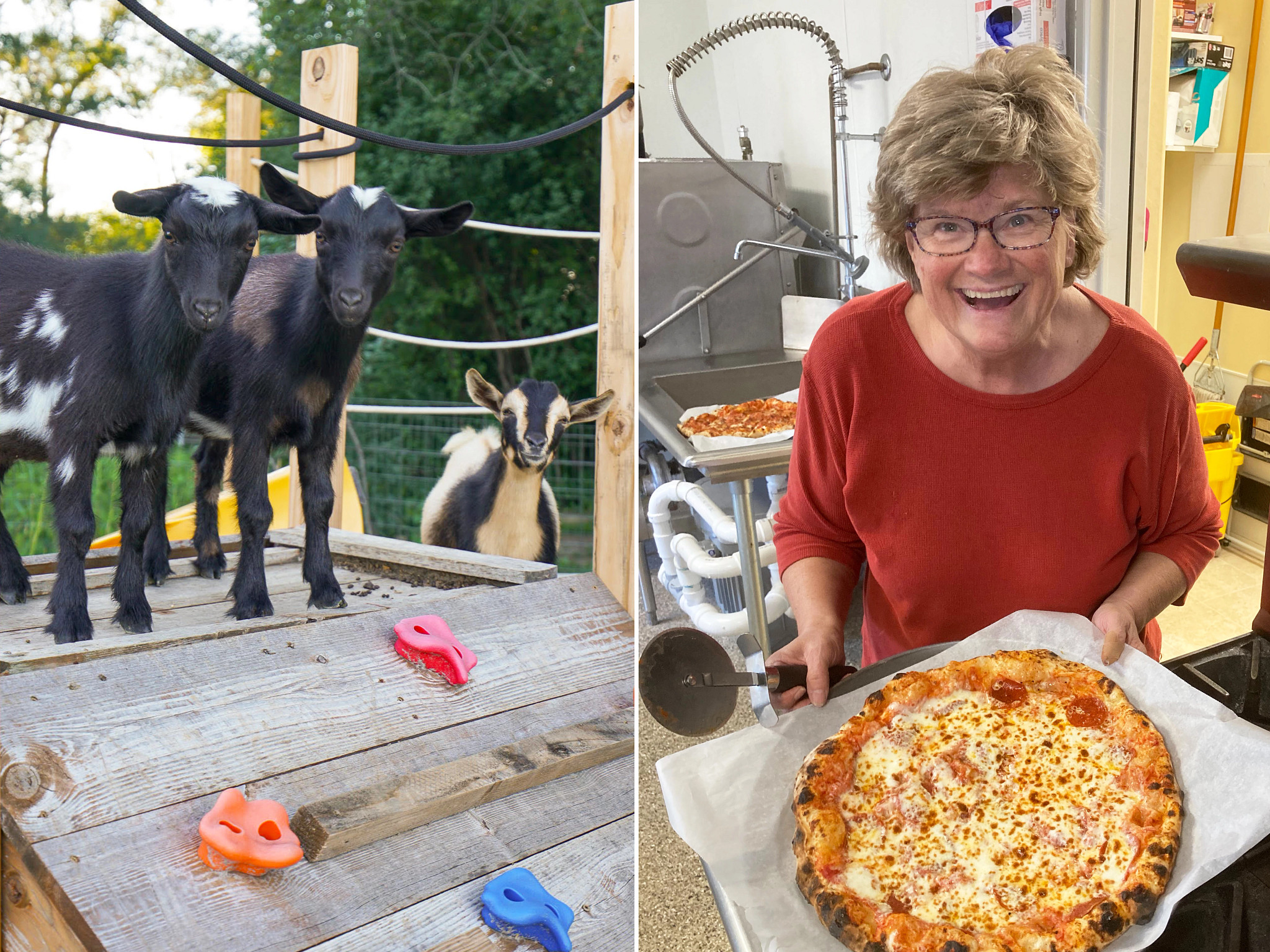 a split image of goats and a woman smiling and holding a pizza
