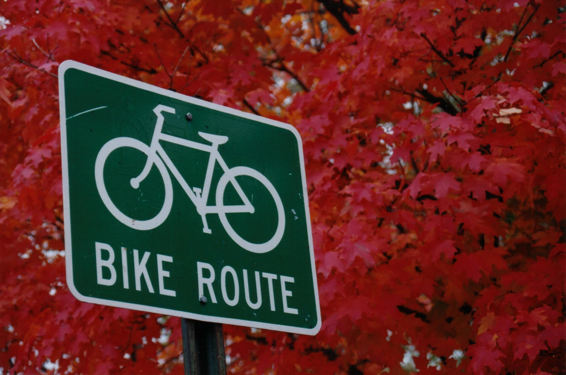 bike route sign