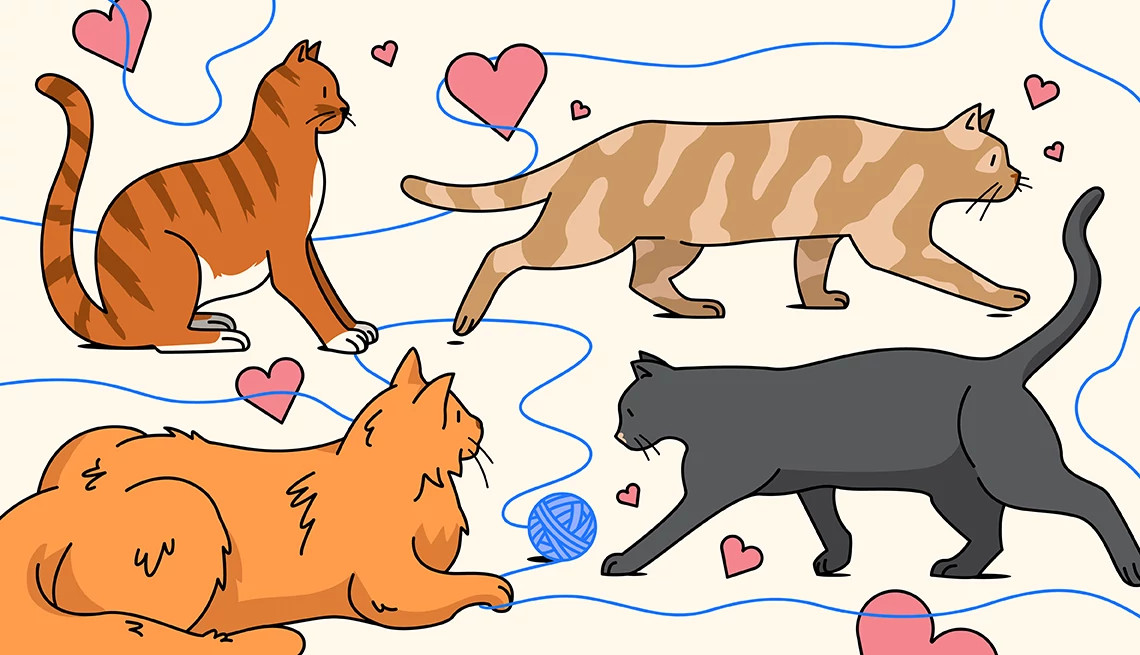 An illustration shows four different cats chasing a ball of yarn with hearts floating around