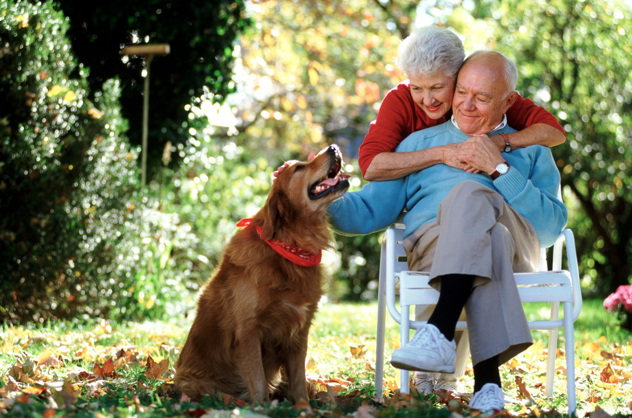 Affectionate couple petting the dog
