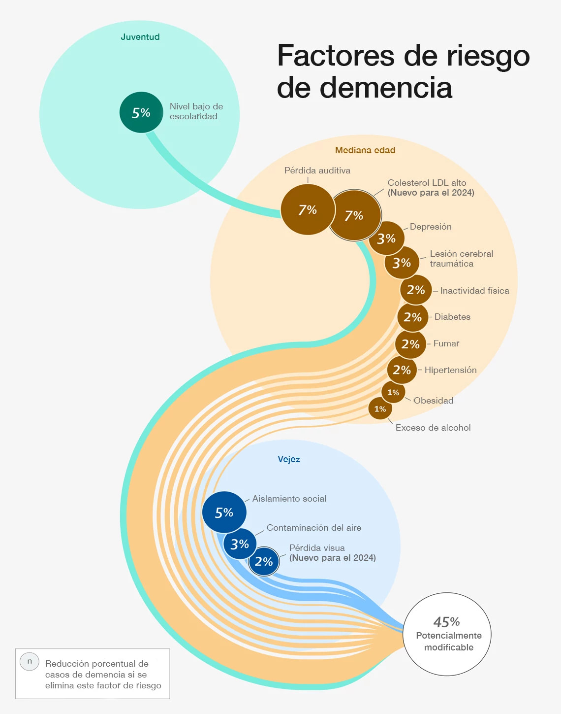 Gráfico que muestra los factores de riesgo de padecer demencia según la etapa de la vida