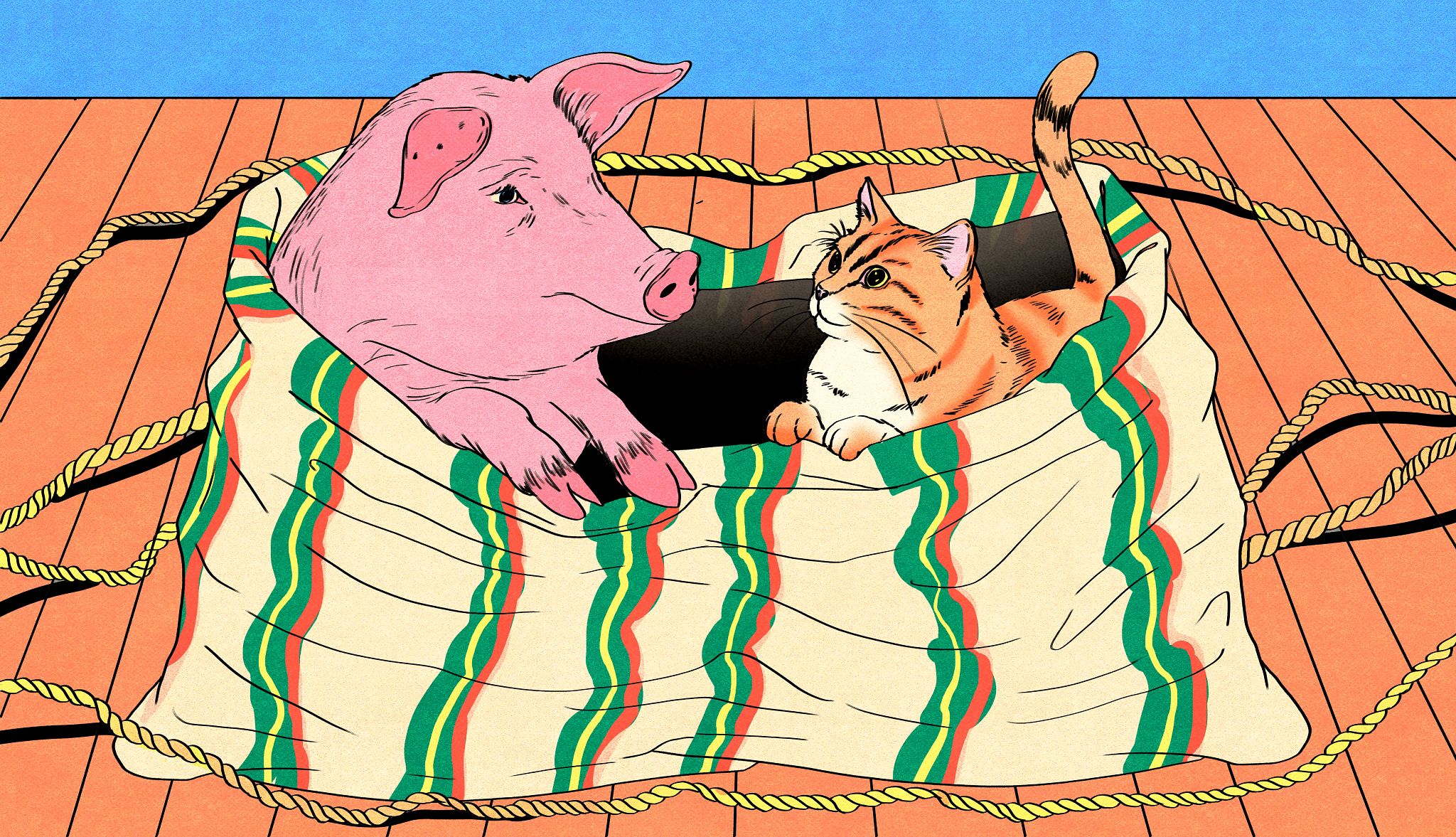 sayings about animals a cat and a pig in a bag