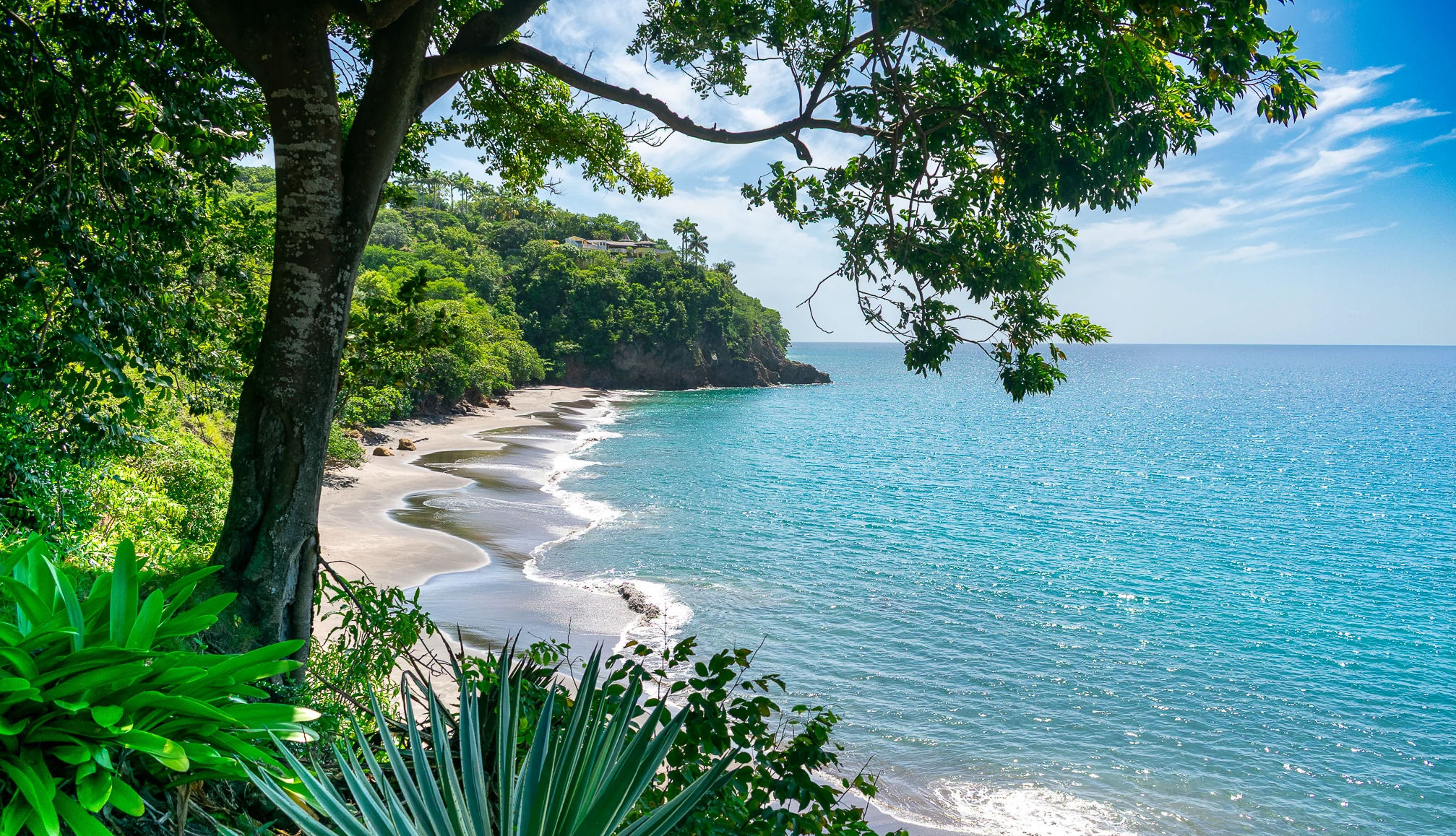 Quiet Caribbean Beaches an empty, secluded beach
