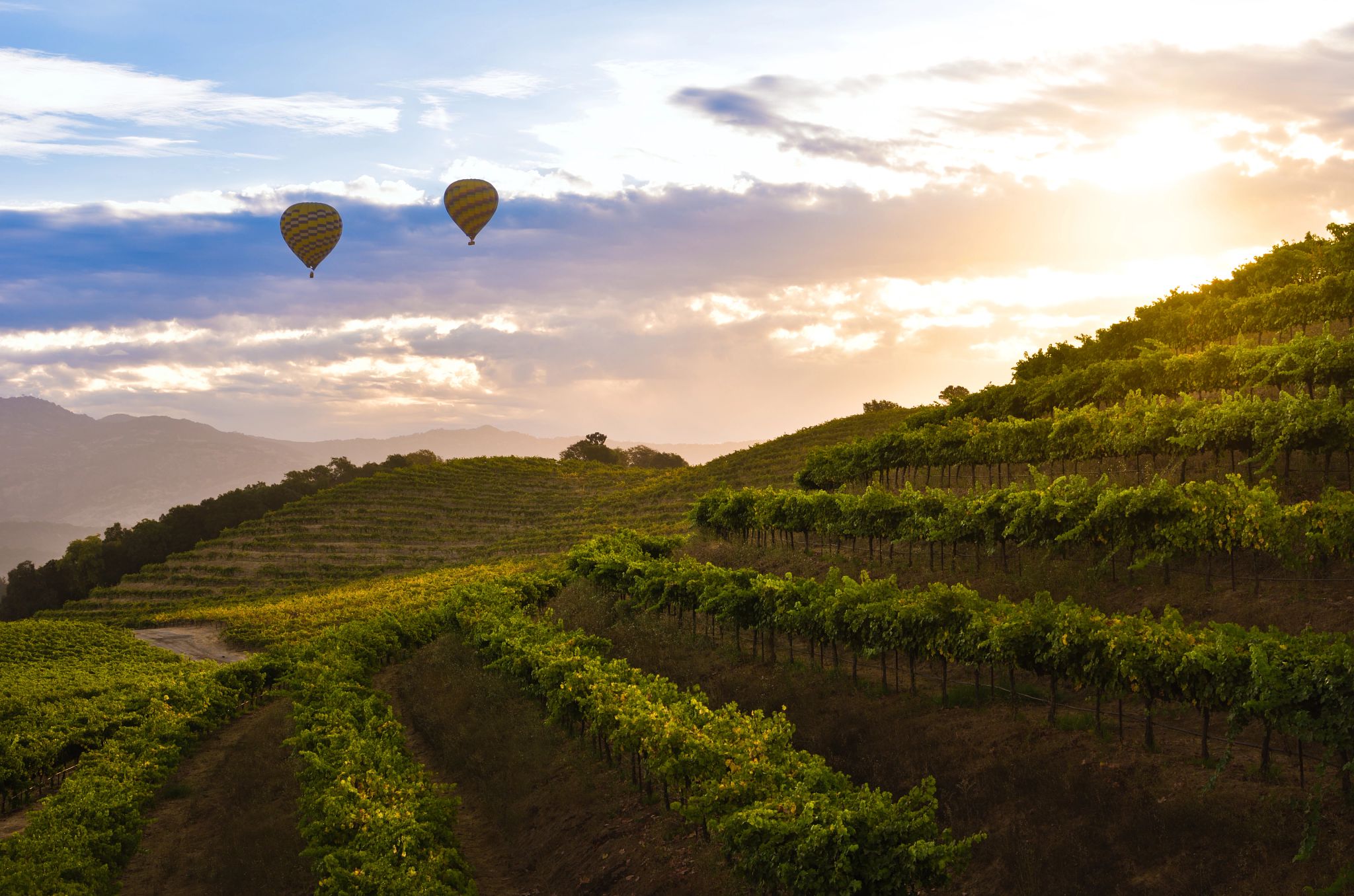 A Local’s Guide to Napa and Sonoma Wine Country Two hot air balloons