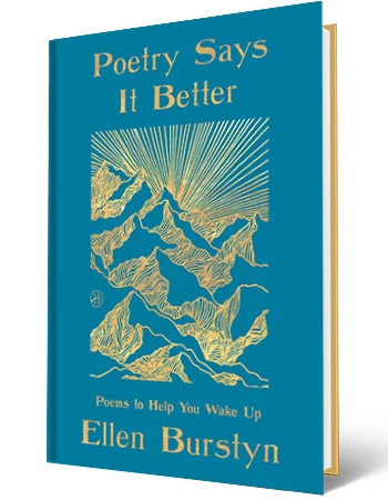 the cover of the book poetry does it better