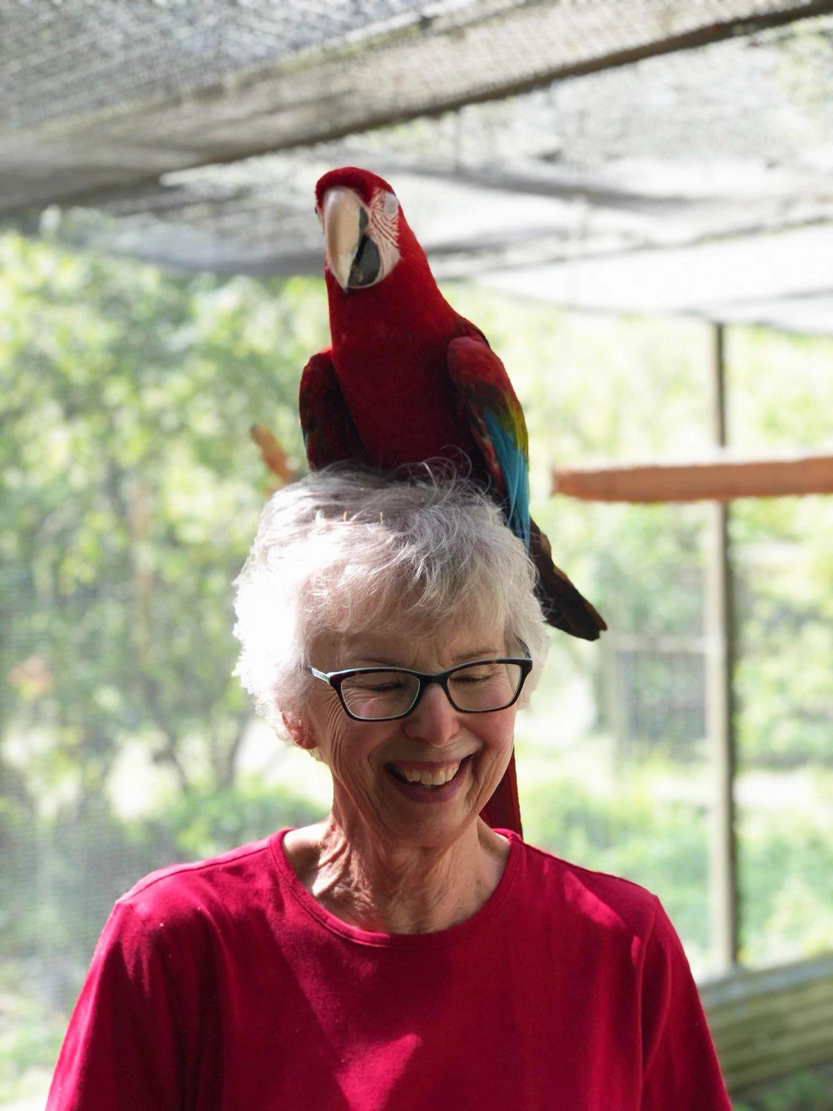 A photo shows Eric Spitznagel’s mom wearing a parrot as a hat