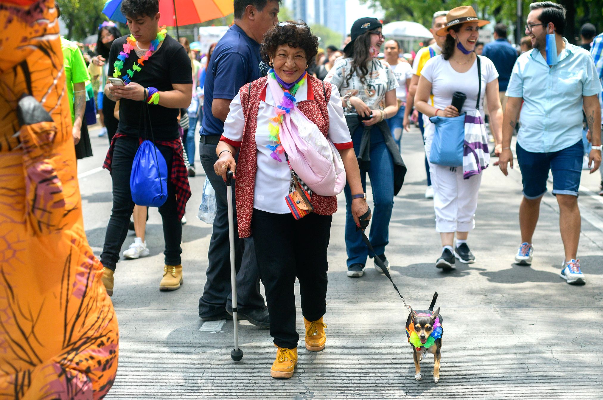 Mexico City's first Pride Parade was in 1979 a woman, her dog and others celebrate Pride Month in Mexico City