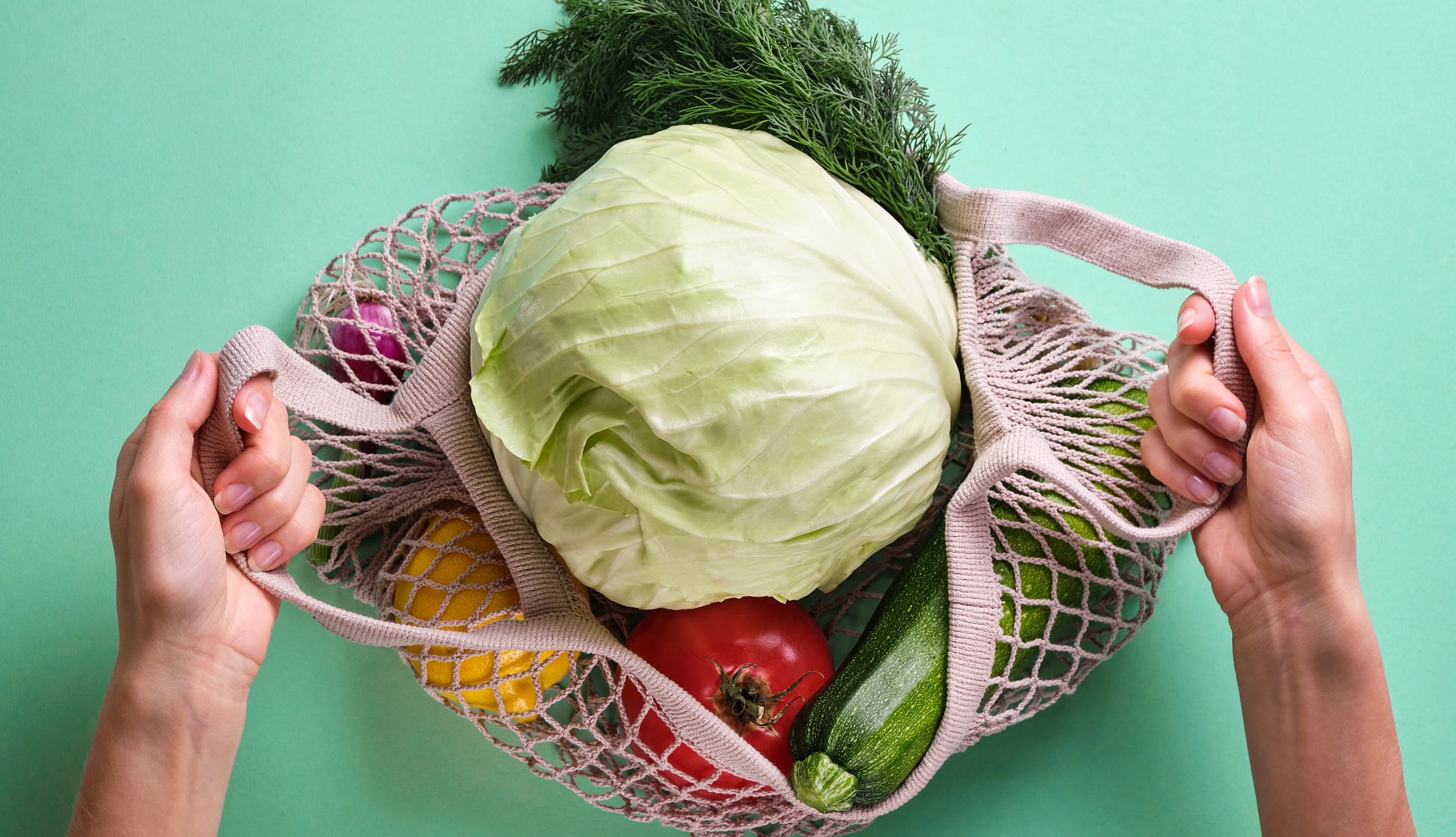 Food Safety Guide groceries