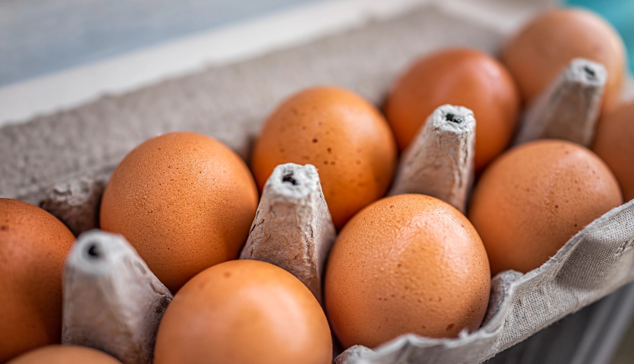 Eggs Linked to Salmonella Outbreak close up of a dozen brown eggs in an egg carton