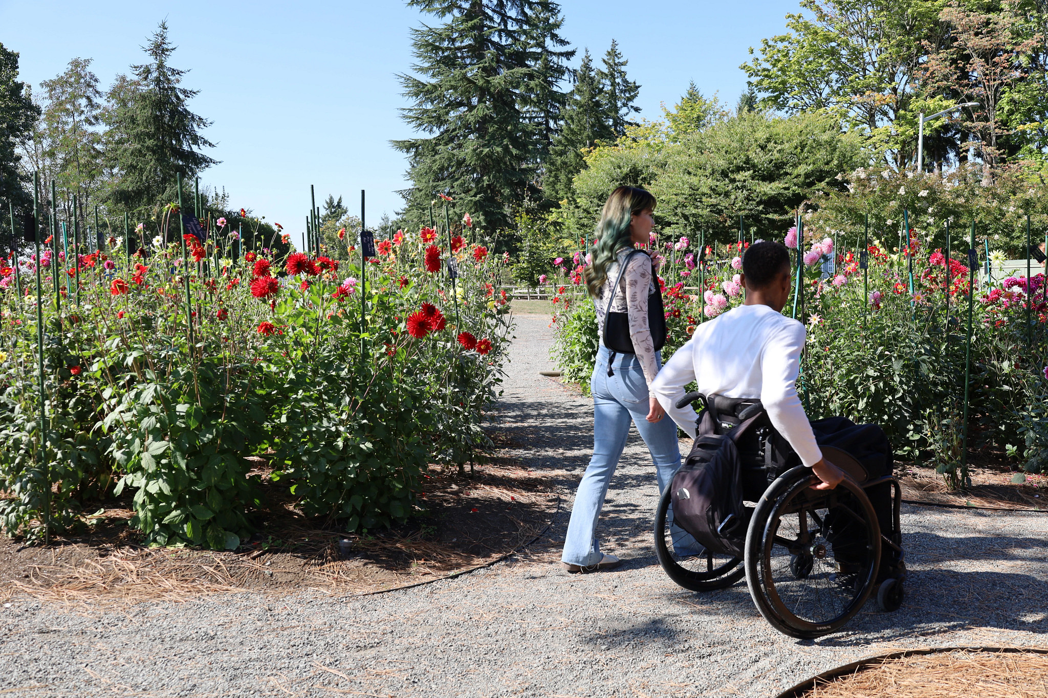 a woman walking next to a man in a wheelchair at the Bellevue Botanical Garden in Washington