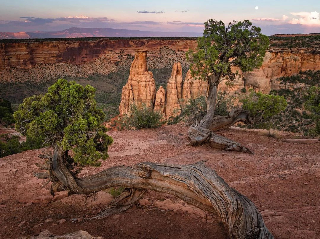 aerial view of Colorado National Monument 