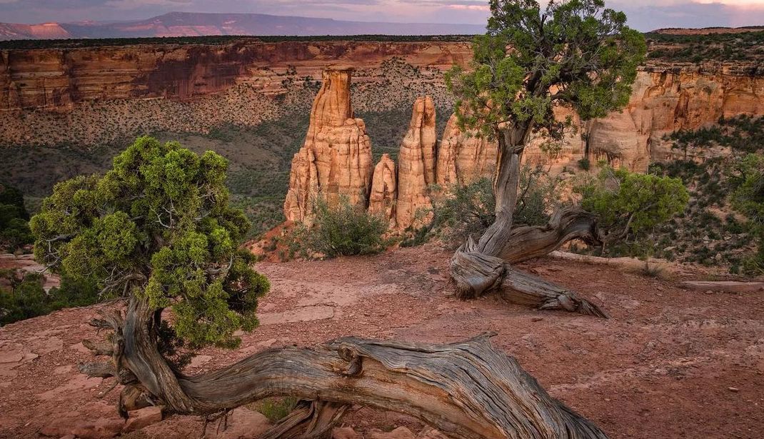 Colorado National Monument  aerial view of Colorado National Monument