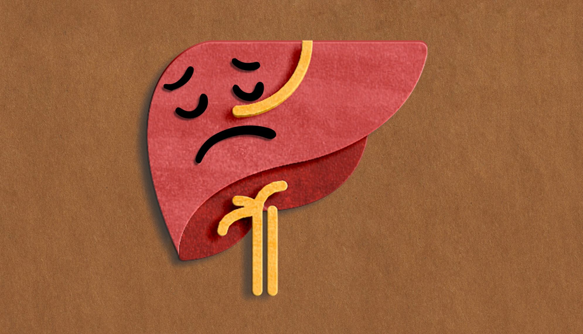 5 Risk Factors That Increase Likelihood of Liver Damage
