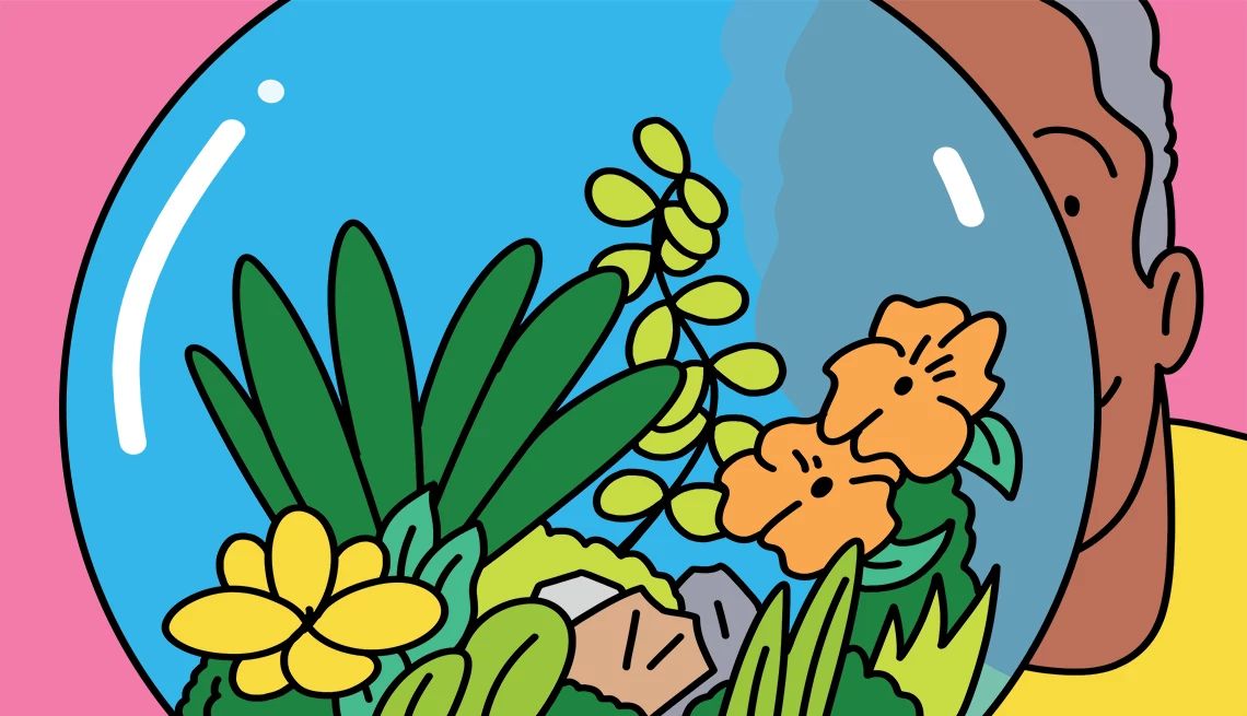 Create a terrarium Illustration of a person behind terrarium looking at it