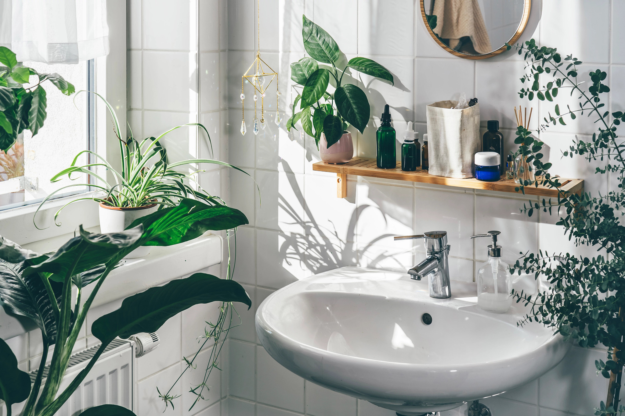 various plants in a bathroom