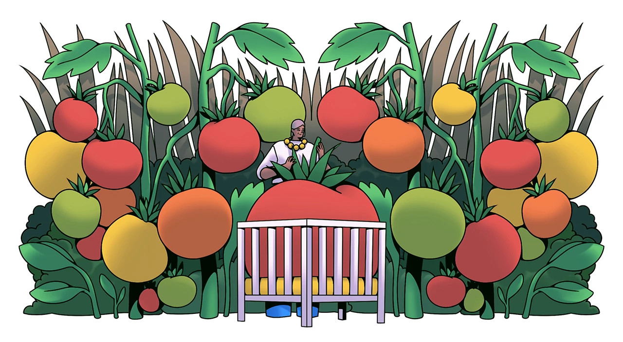 grandmother, crib, tomatos growing, illustration