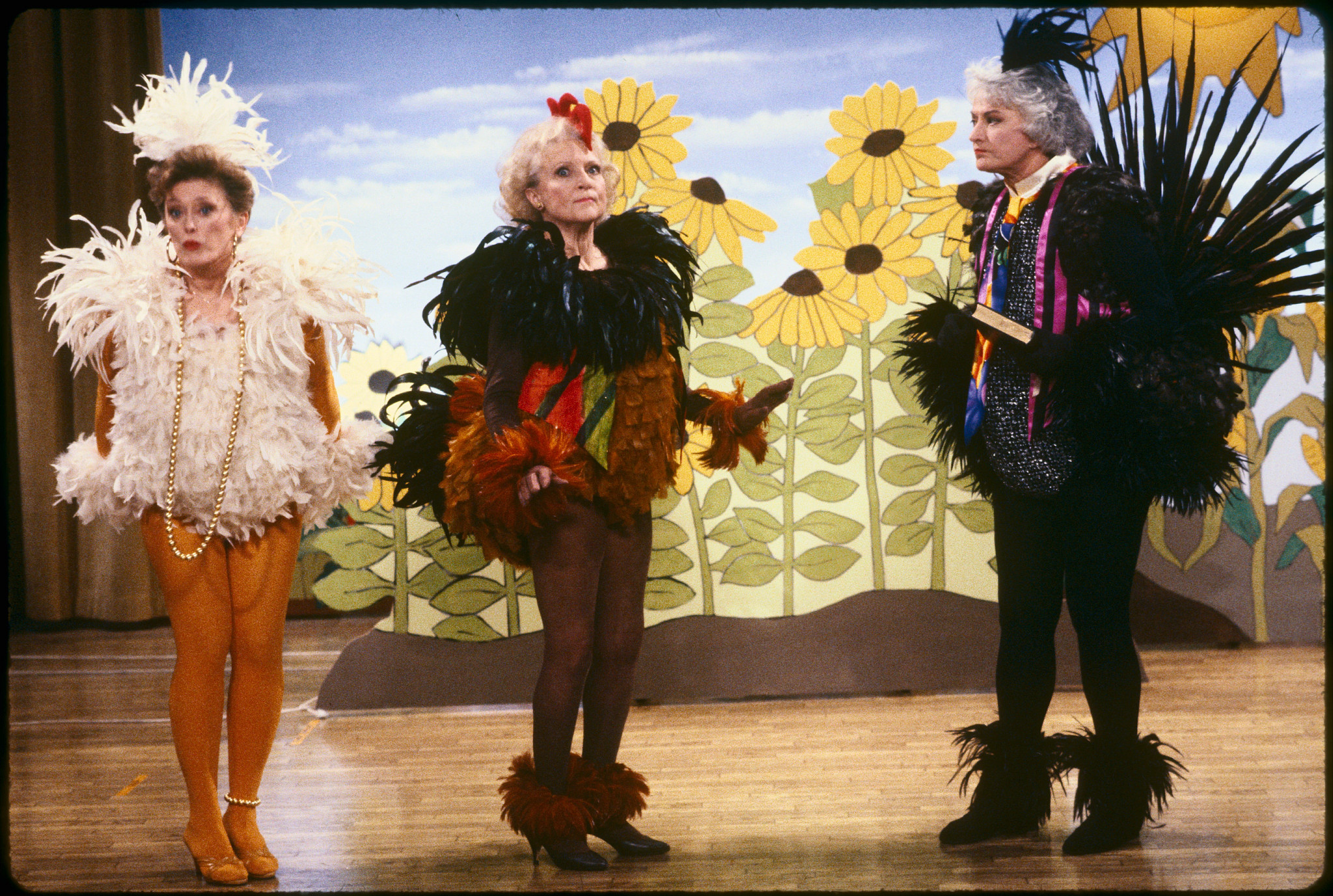 blanche rose and dorothy in a scene from the golden girls
