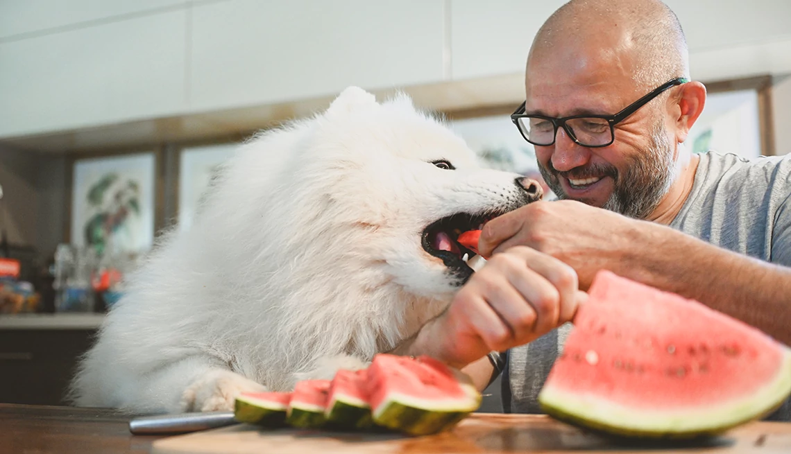 man feeding his dog watermelon