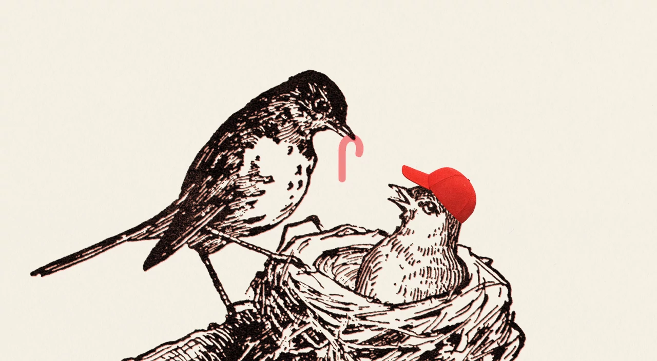 how to stop supporting your adult children a bird feeding a worm to a grown-up bird in a nest wearing a cap