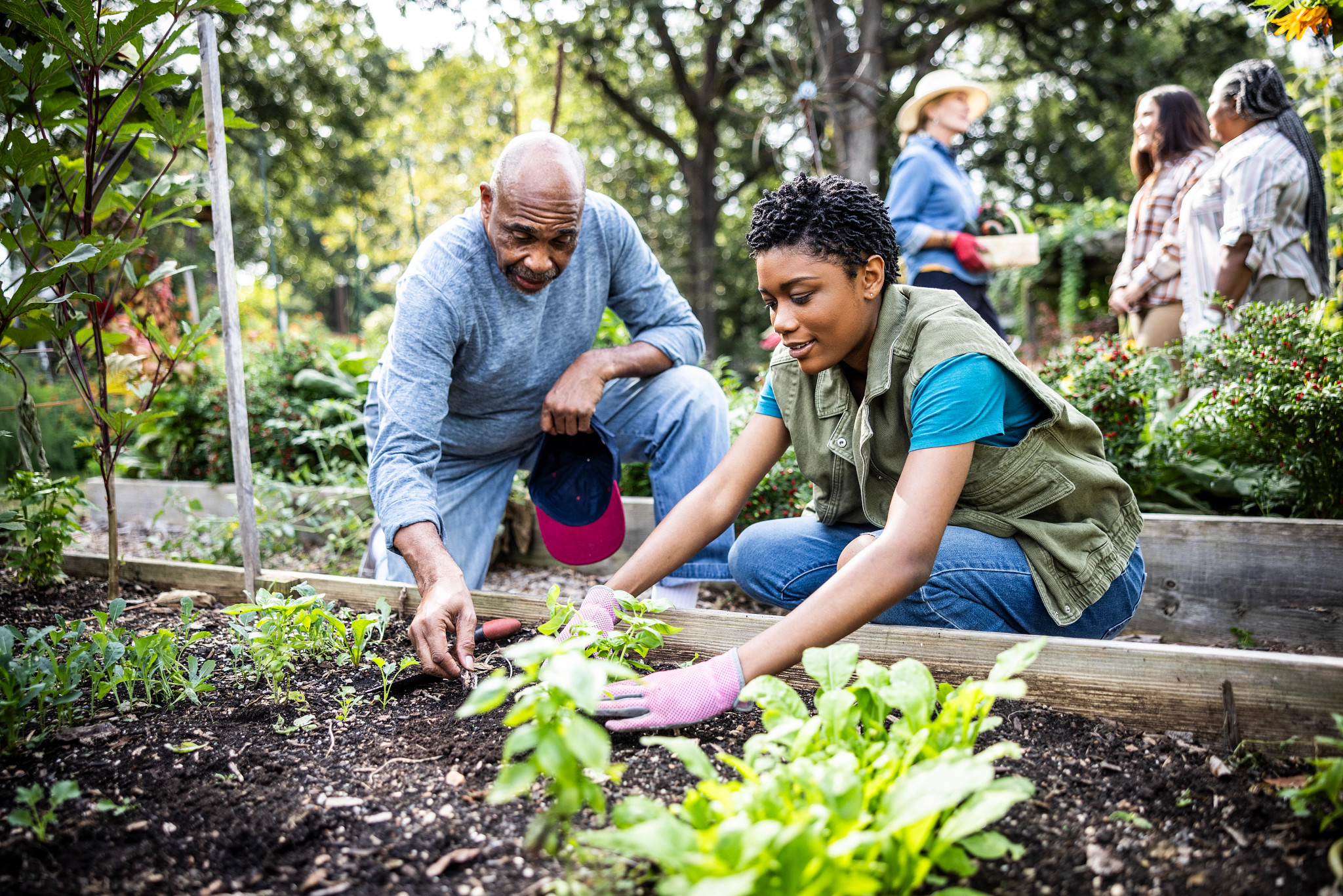 a man and young woman plant seeds in a garden