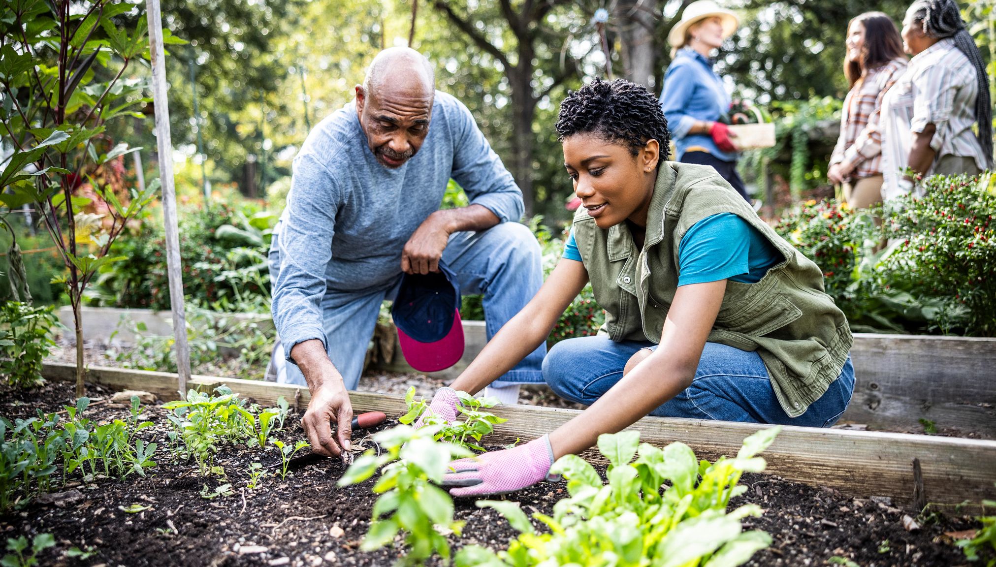 you may have to find alternative gardens in your neighborhood a man and young woman plant seeds in a garden