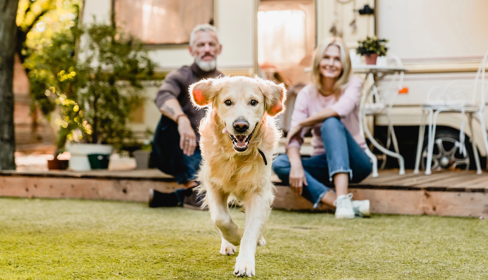 Smart Guide to Traveling With Pets a dog running with people behind it