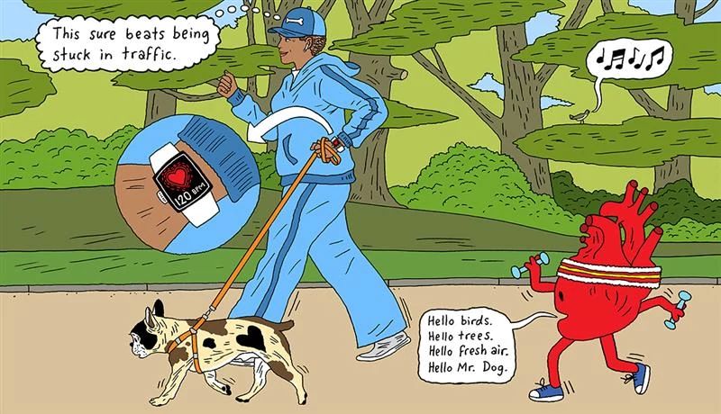 Man Walking His Dog With a Cartoon Heart illustration of a man walking his dog looking at his fitness tracker while a heart follows behind