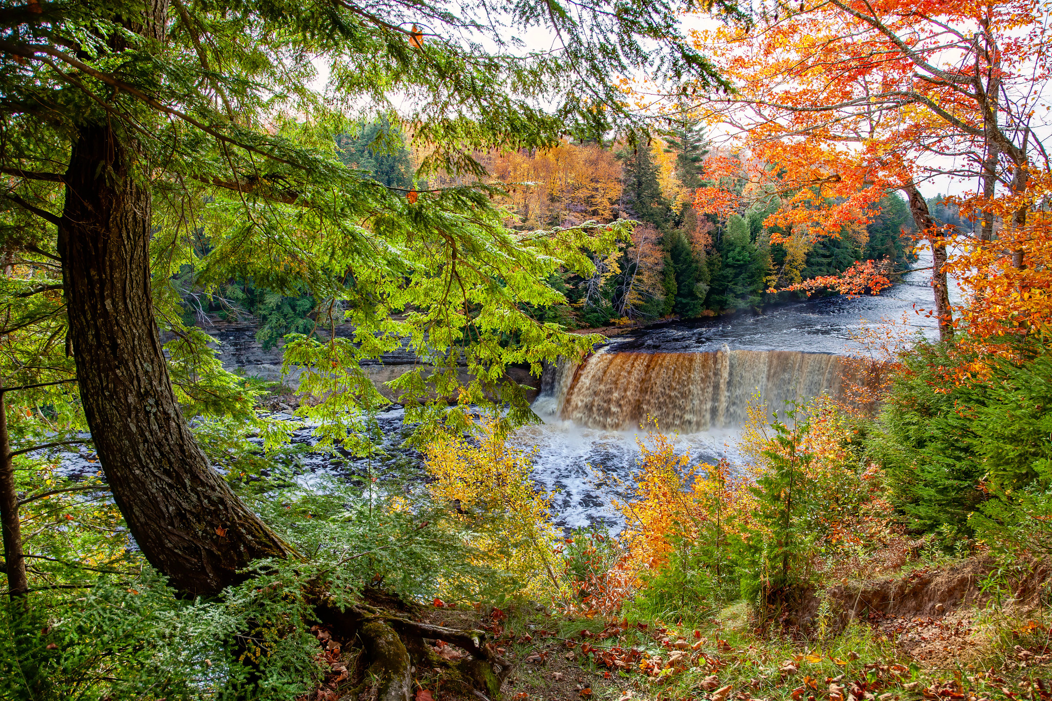 Forest waterfall cascading into a river surrounded by evergreen trees and vibrant autumn leaves in red, orange, and yellow
