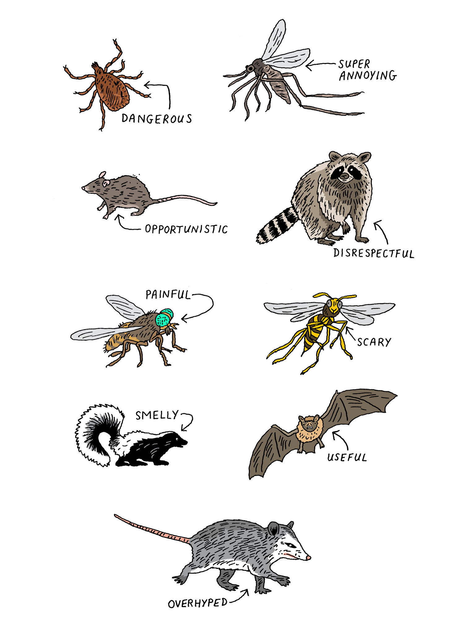 An illustration shows a mouse, raccoon, tick and mosquito
