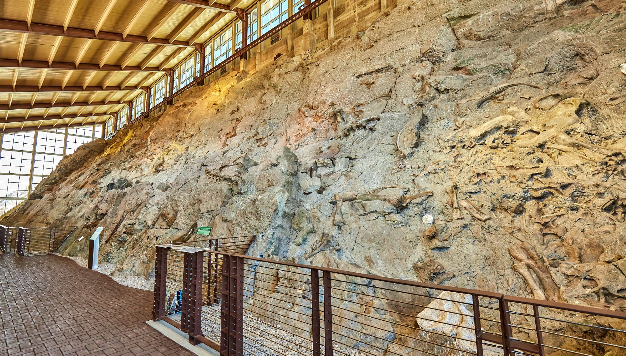 World-Class Museums at National Parks dinosaur bones