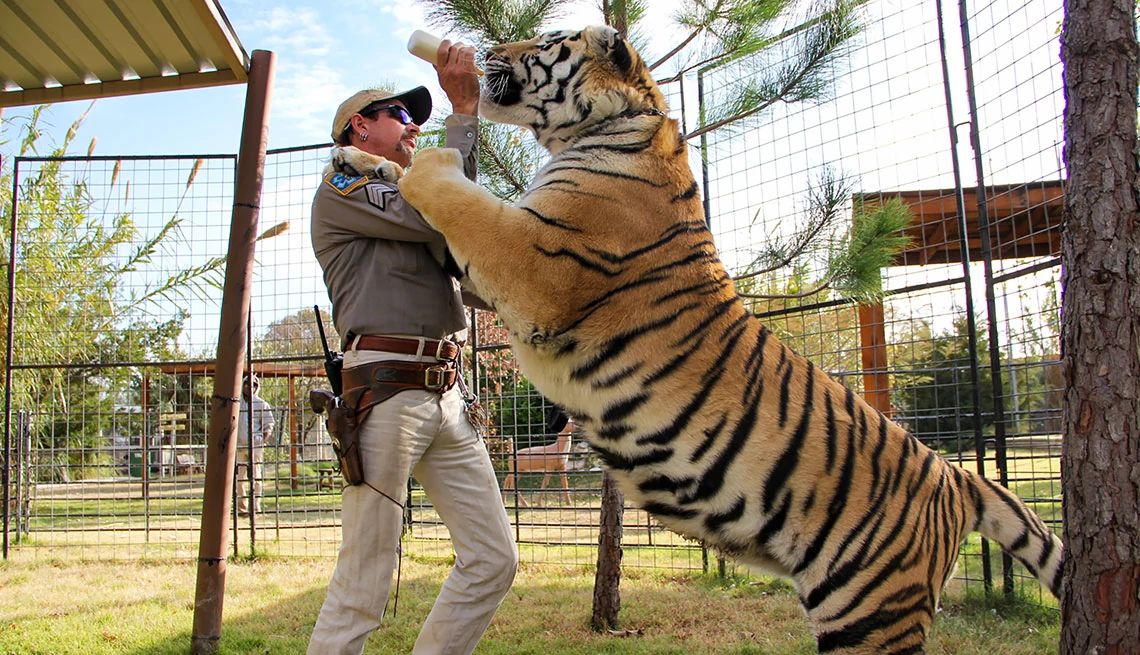 Joe Exotic in Tiger King Joe Exotic feeding a tiger in Tiger King
