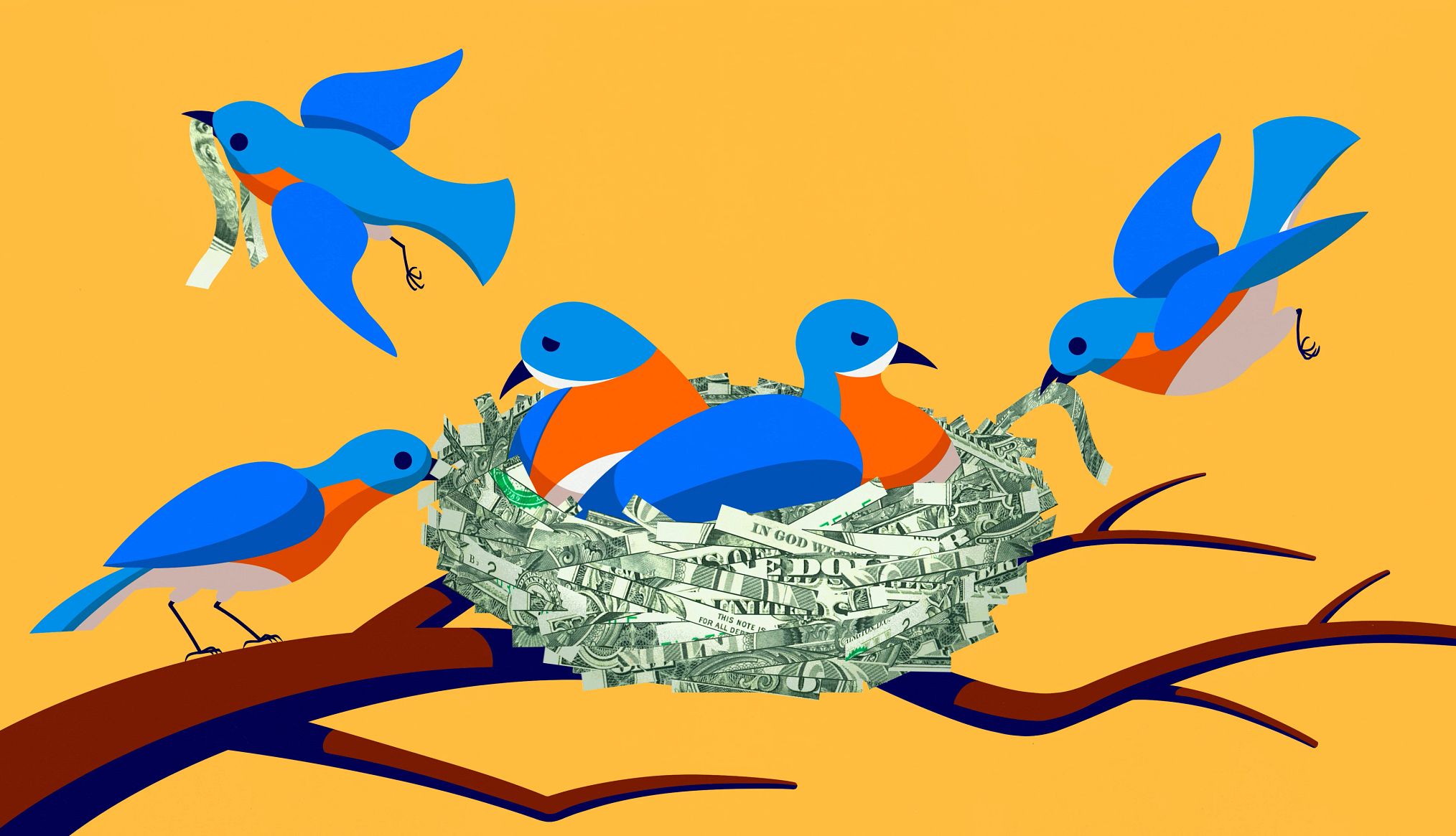 Empty Nester Money Mistakes birds set in a nest of dollar bills