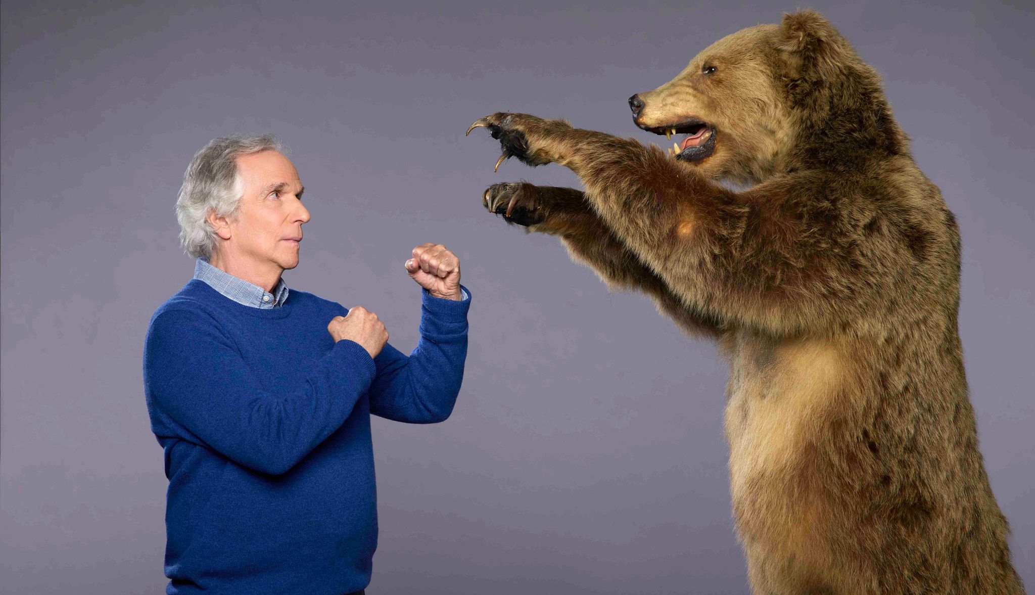 Henry Winkler: ‘My Whole Life Is a Bet’ Henry Winkler taking a boxing stance against a large brown bear