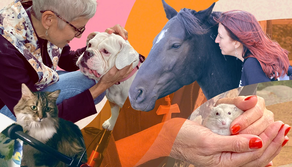 Compassionate connection between animals and humans Collage of images showing people caring for their beloved pets, including a dog, horse, cat, and hamster.